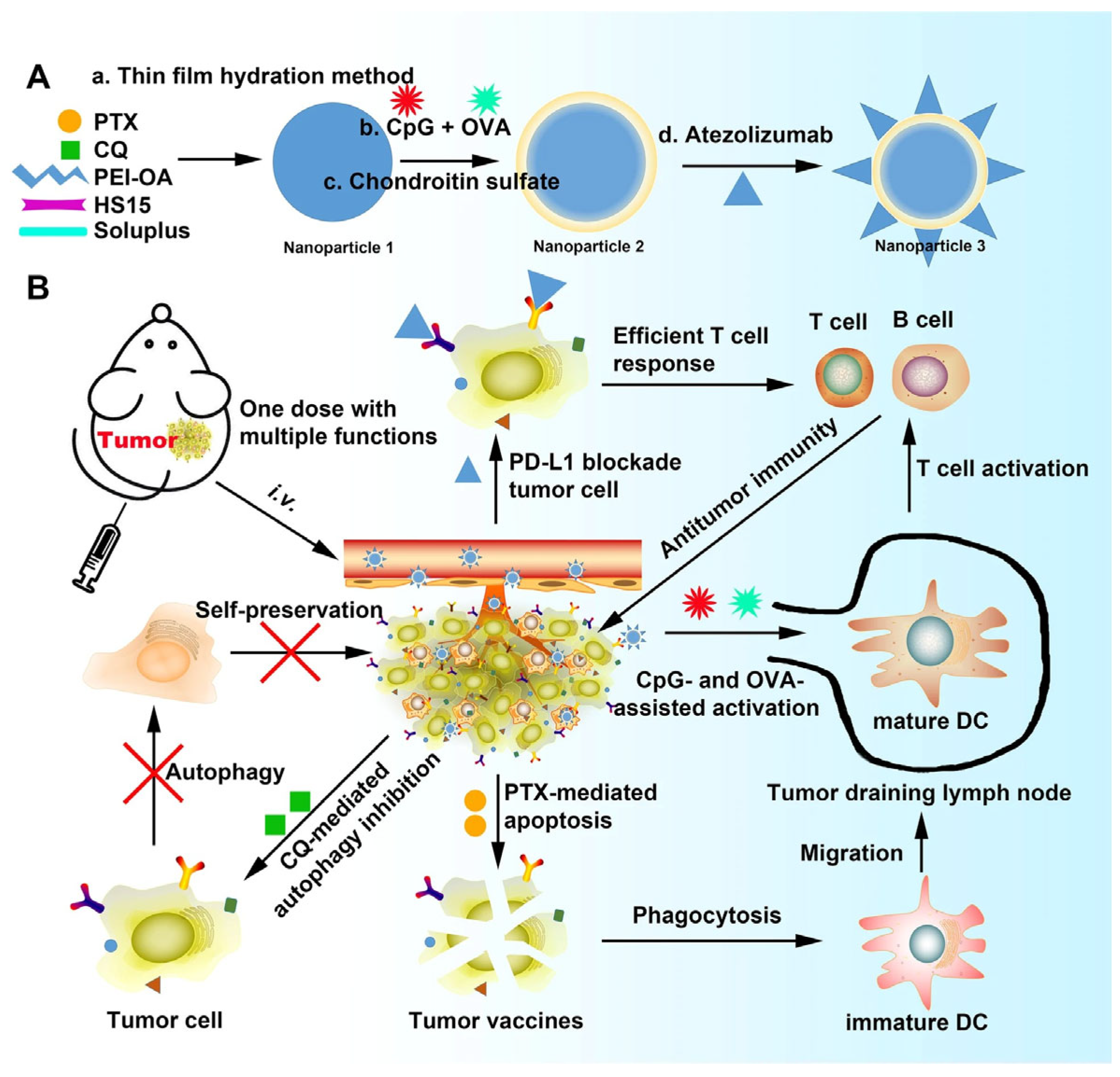 Molecules 30 04798 g003