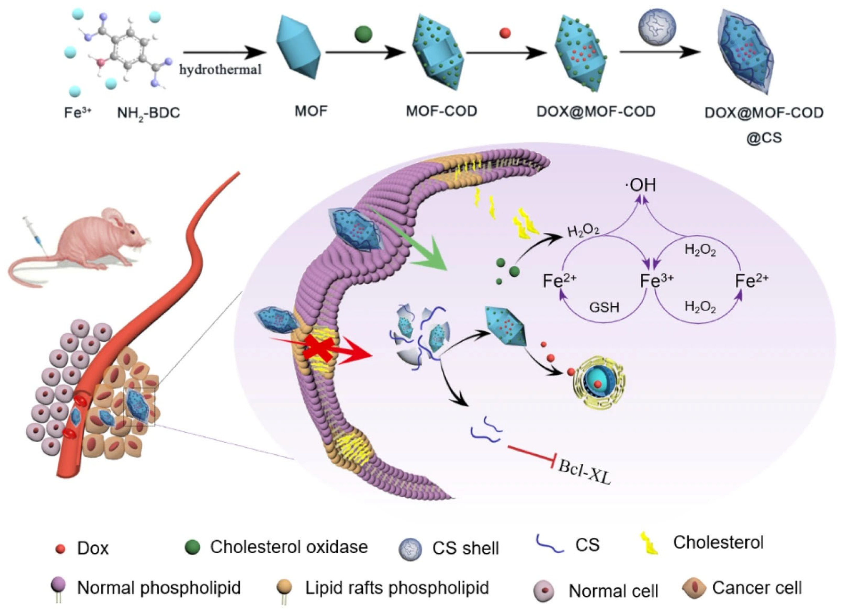 Molecules 30 04798 g004