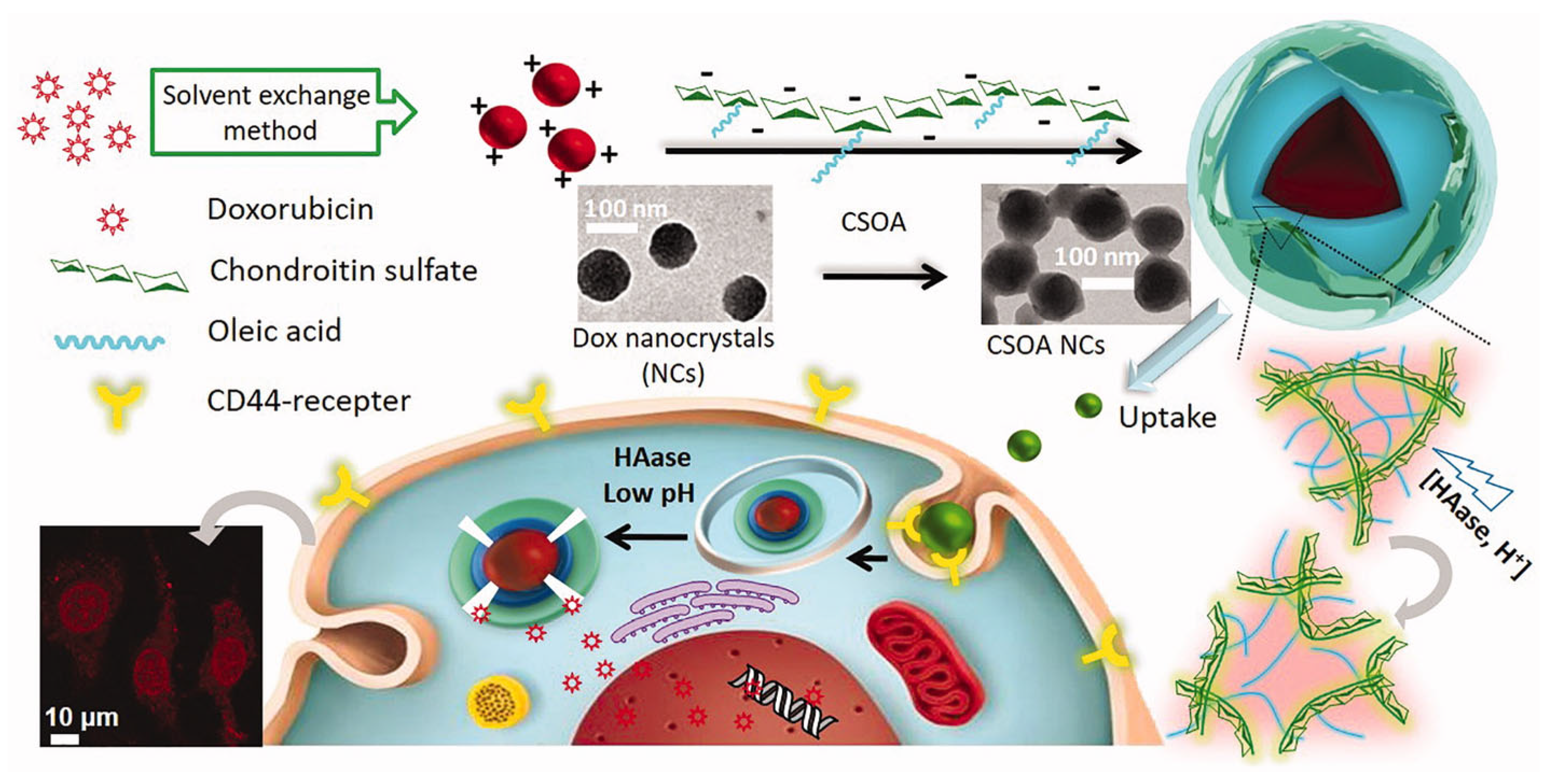 Molecules 30 04798 g006