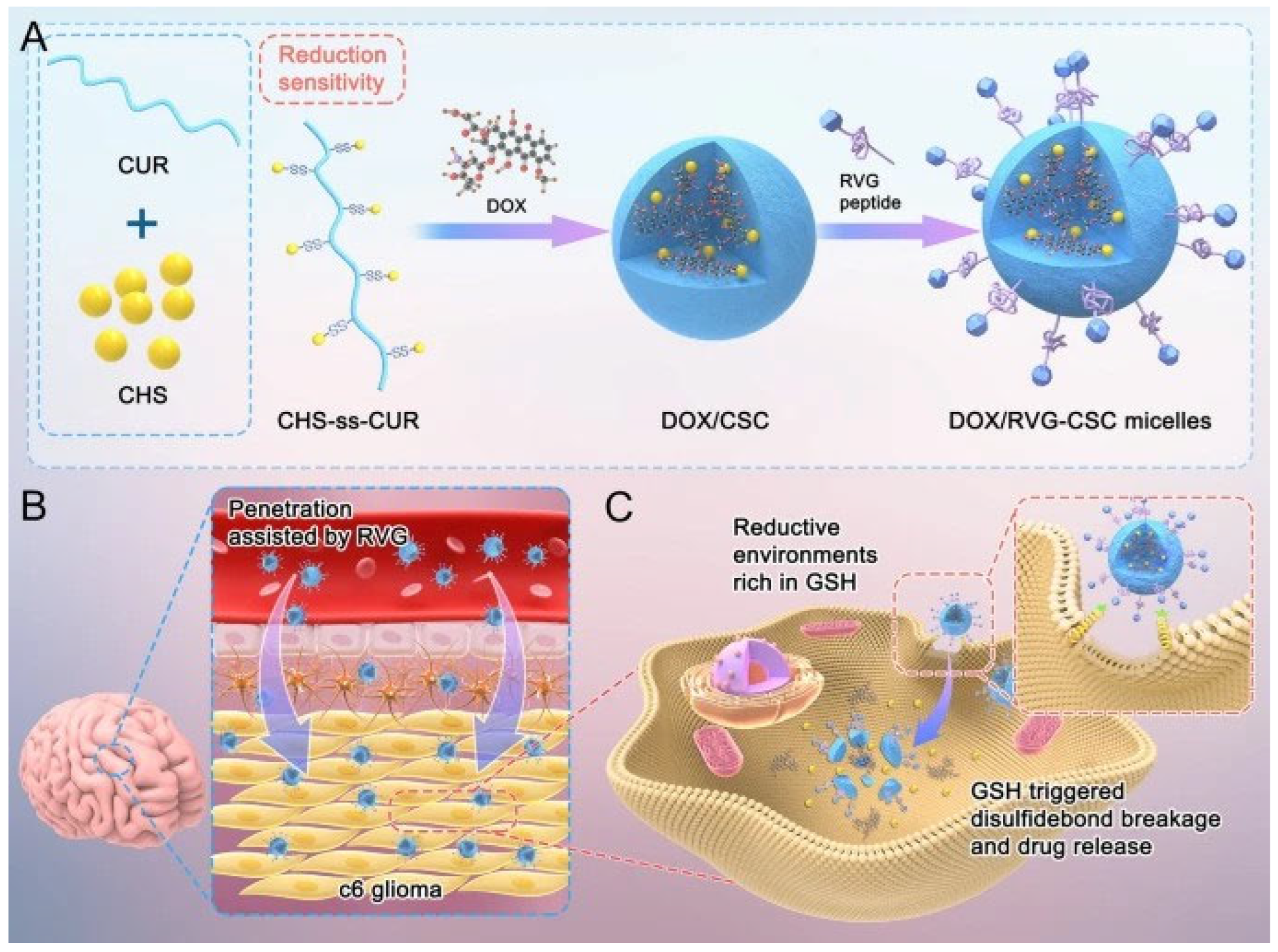 Molecules 30 04798 g007