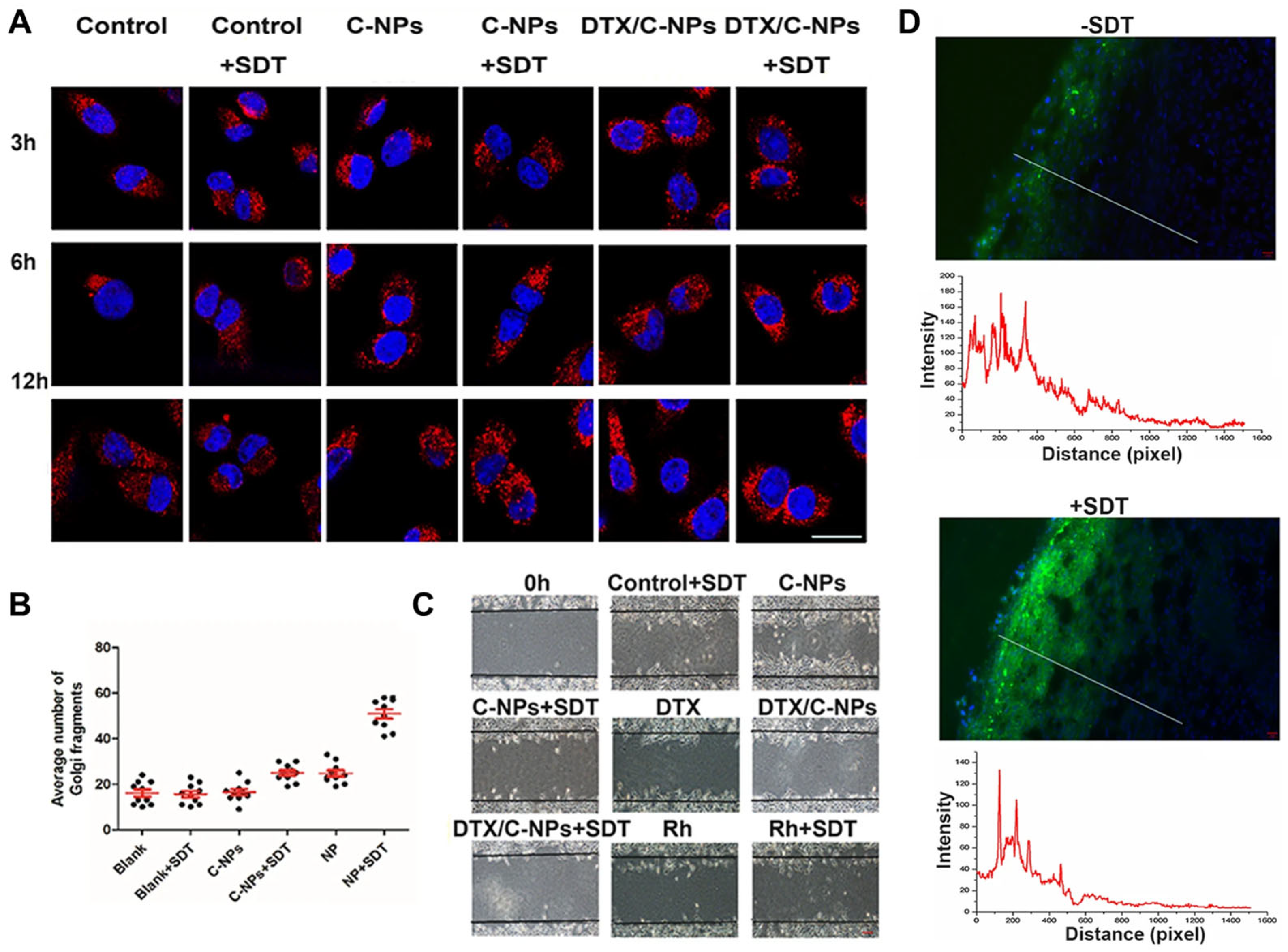 Molecules 30 04798 g008