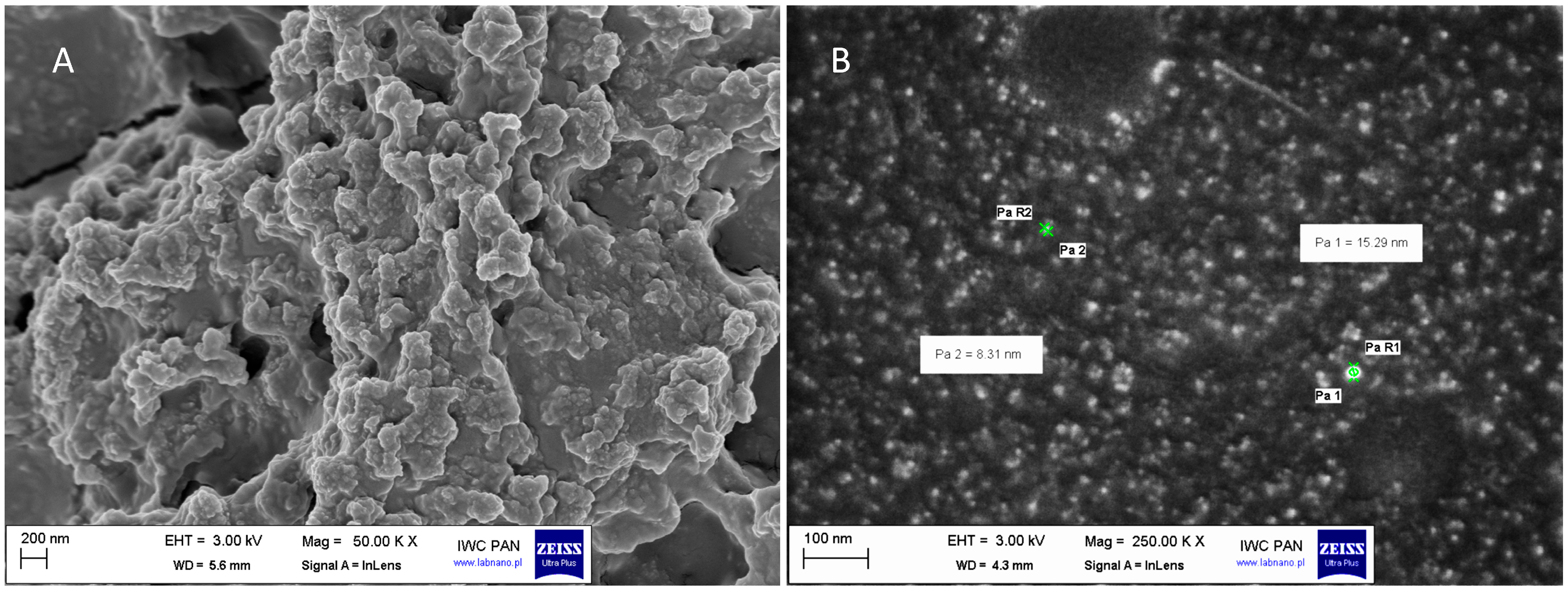 Molecules 31 00003 g001 Molecules 31 00003 g001