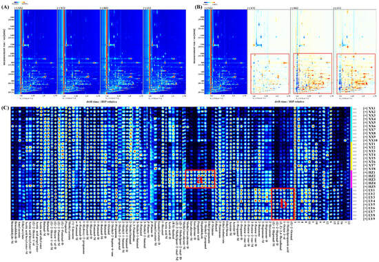 Comparison of VOCs of LJF from XX, XT, HZ, and LY regions detected by HS-GC-IMS. (A) Two-dimensional topographic plots; (B) comparative difference spectrum of two-dimensional topographic plots; (C) gallery plot. “M” and “D” denote monomer and dimer, respectively (1–16 numbers: unidentified compounds).