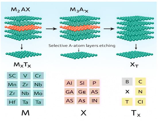Molecules 31 00005 g005