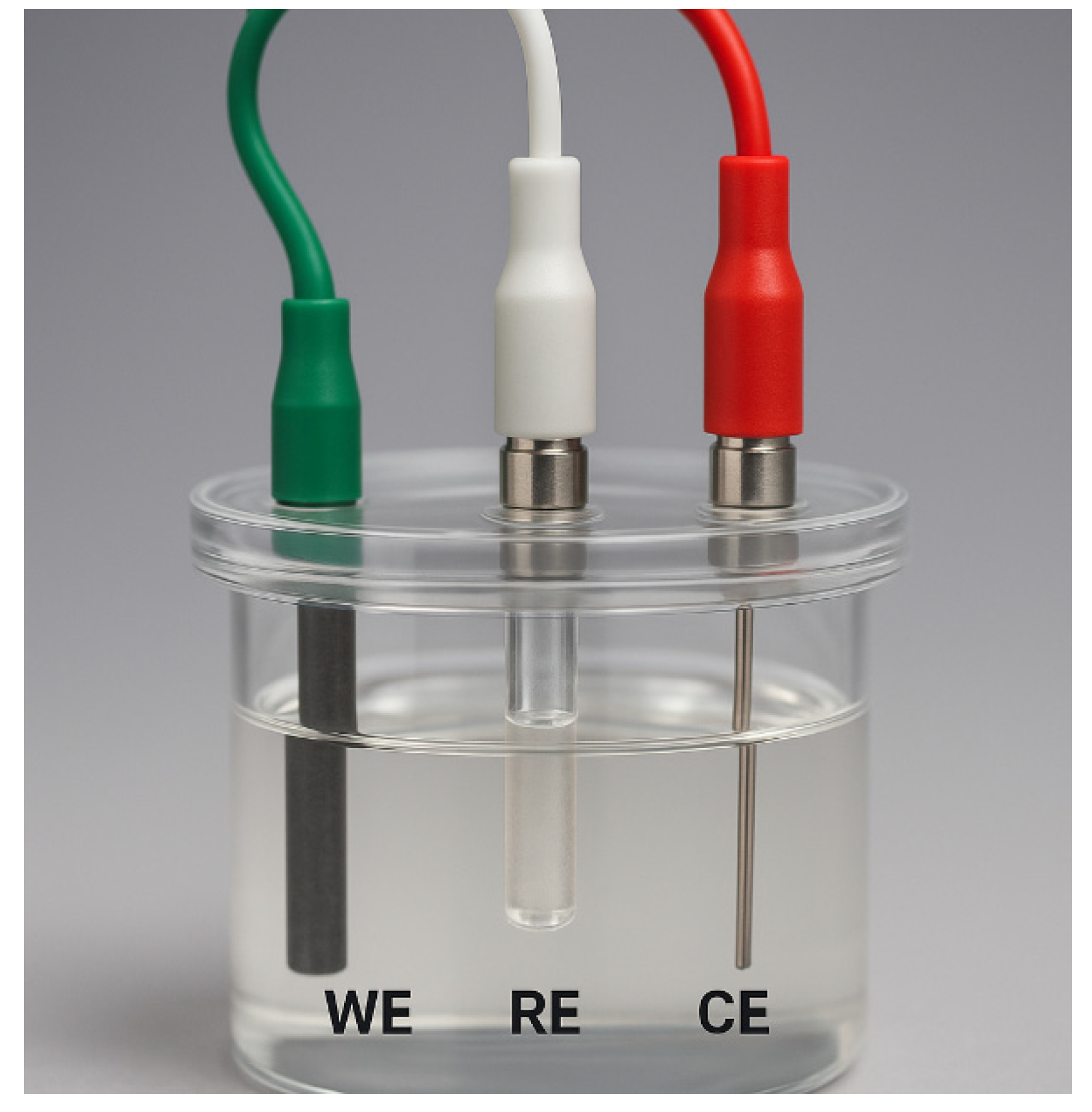 Molecules 31 00005 g006 Molecules 31 00005 g006