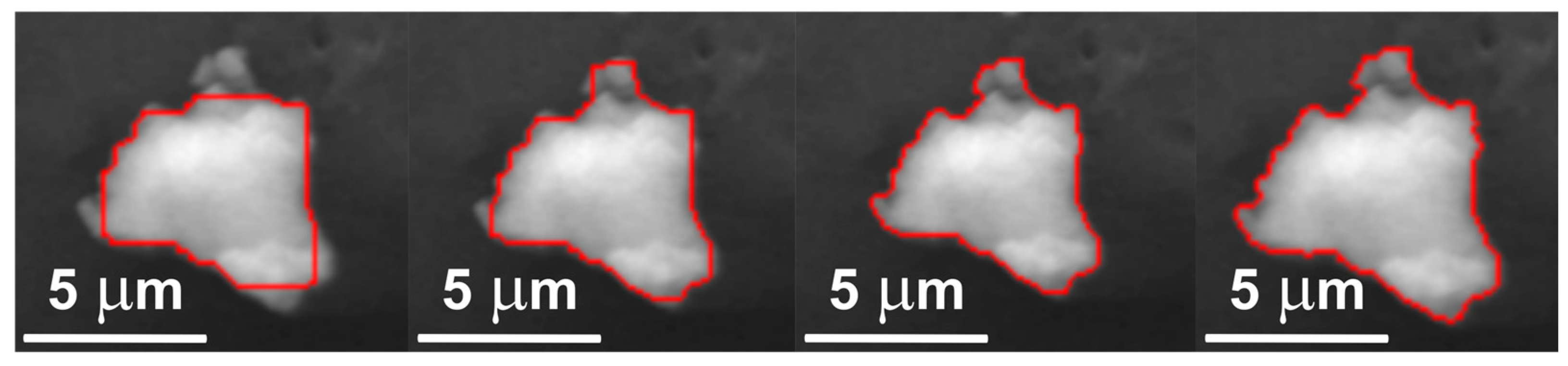 Molecules 31 00009 g002