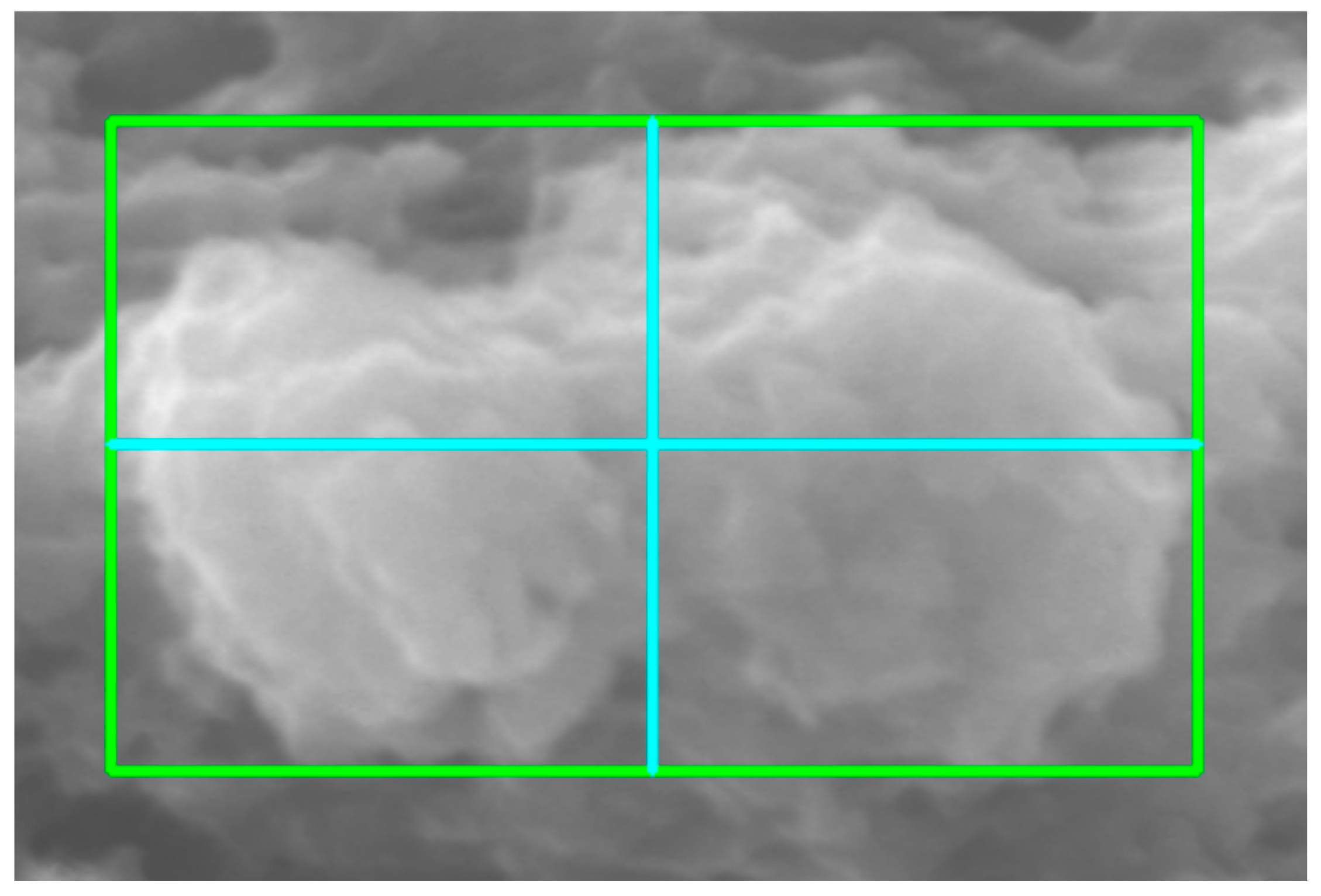 Molecules 31 00009 g003