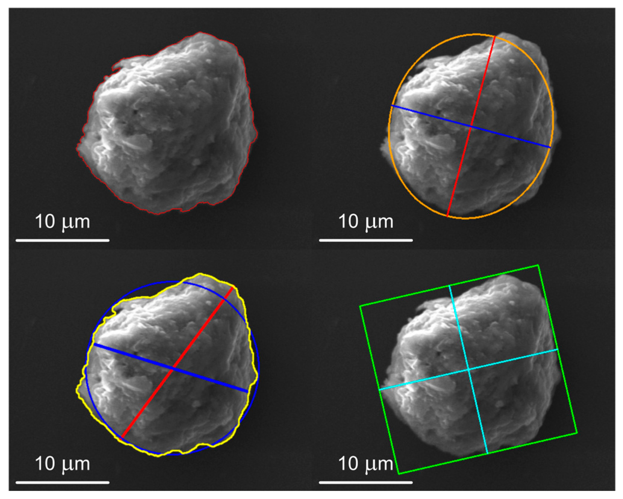 Molecules 31 00009 g012