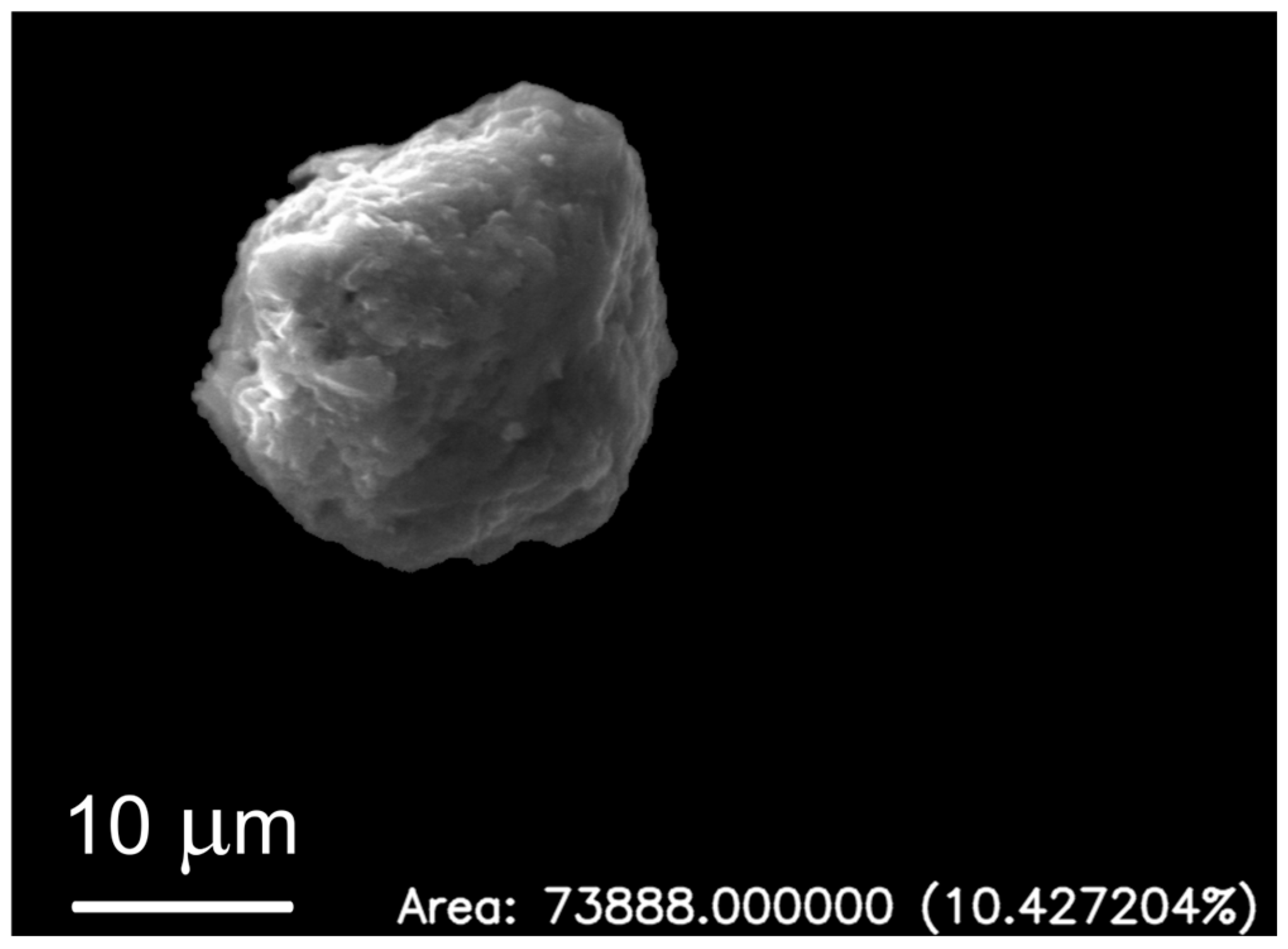 Molecules 31 00009 g013