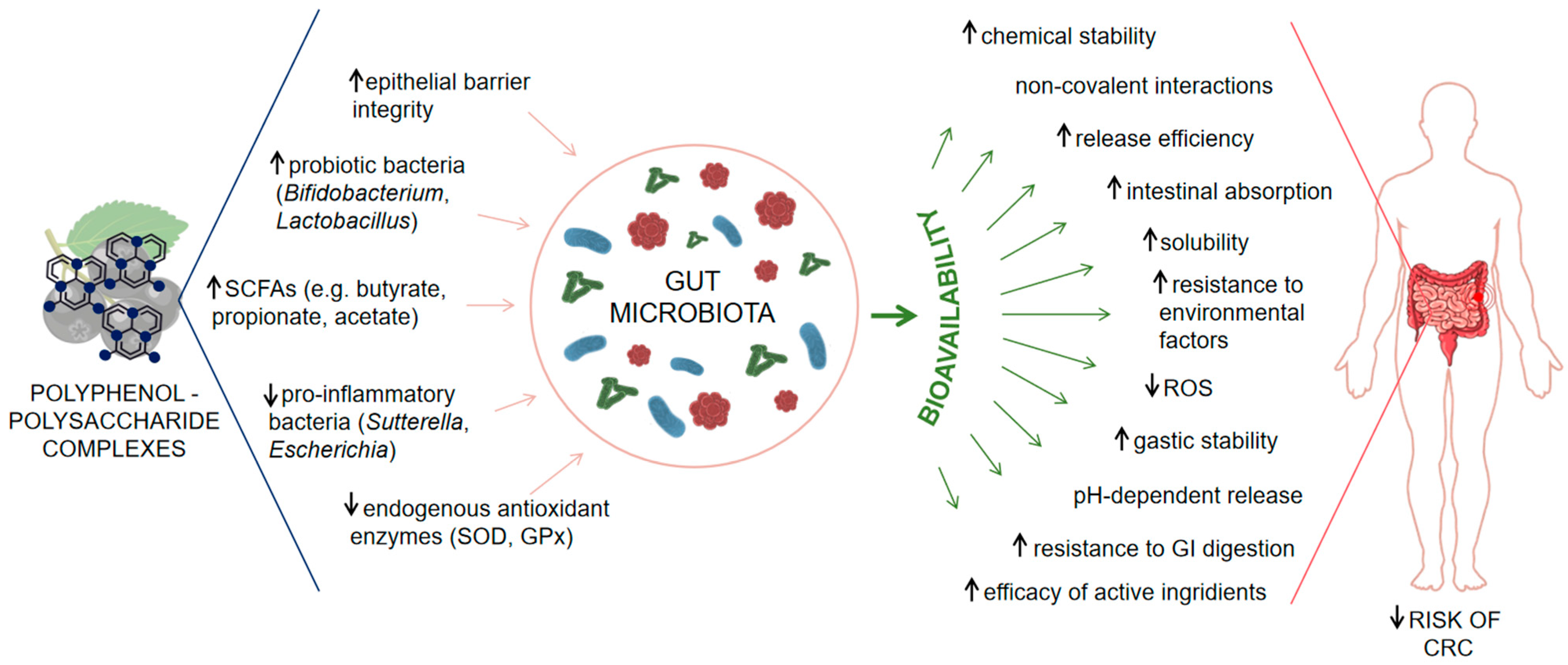 Molecules 31 00010 g001