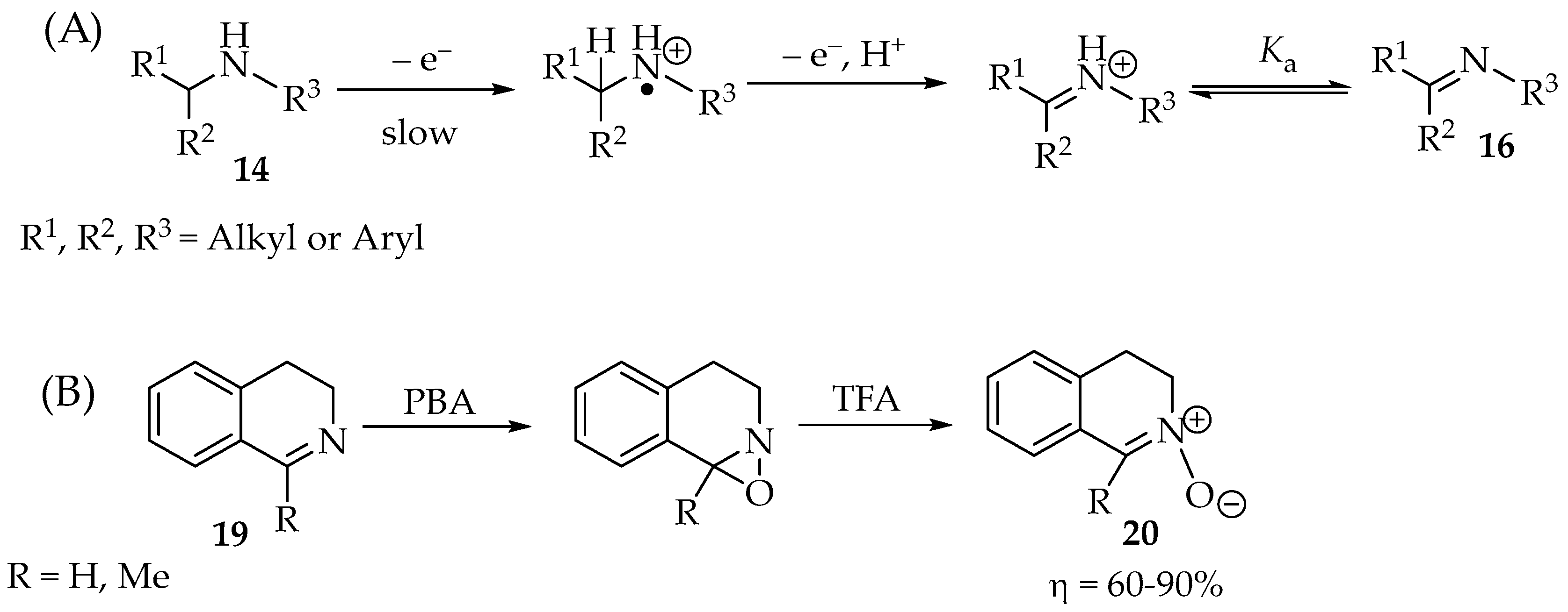 Molecules 31 00013 sch004