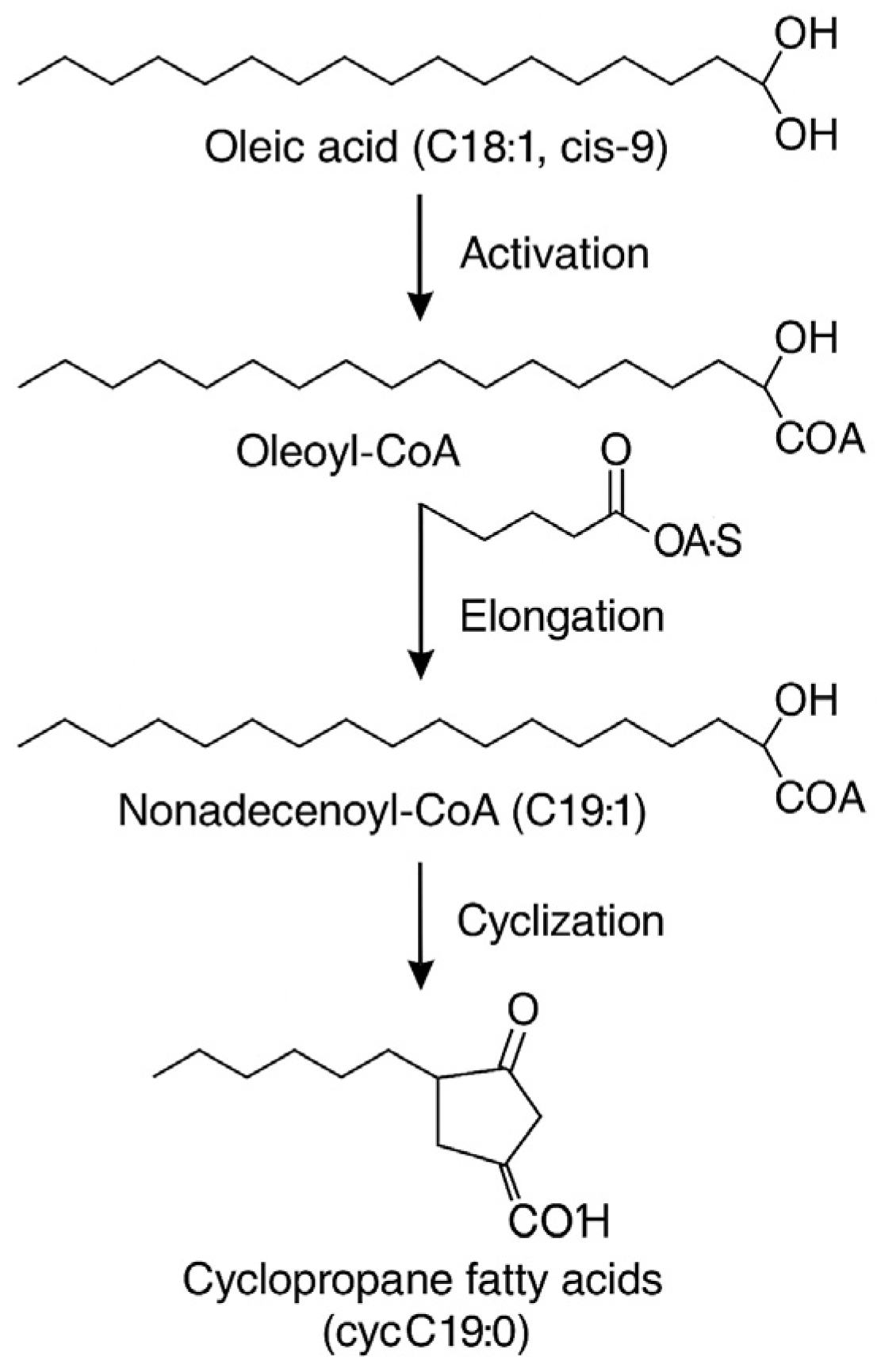 Molecules 31 00014 g005 Molecules 31 00014 g005