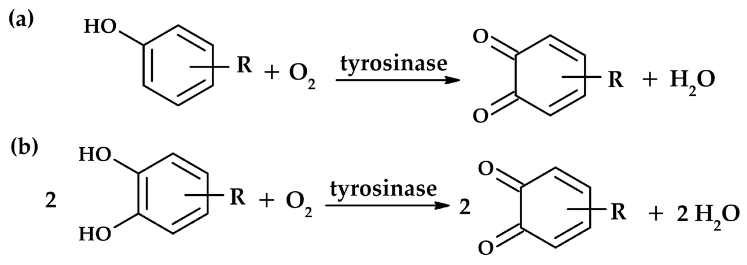 Molecules 31 00020 g001 Molecules 31 00020 g001