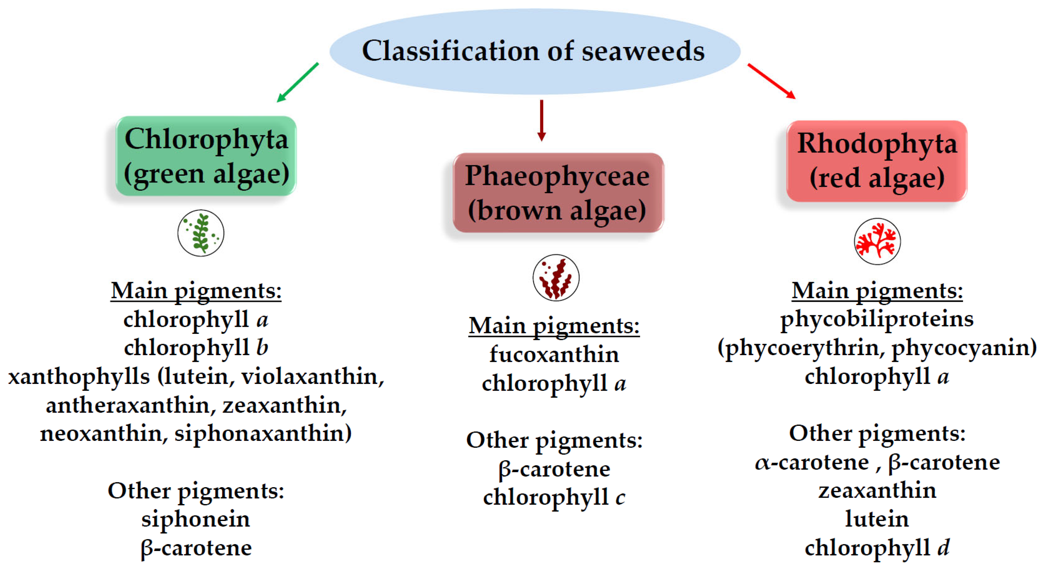 Molecules 31 00020 g005 Molecules 31 00020 g005