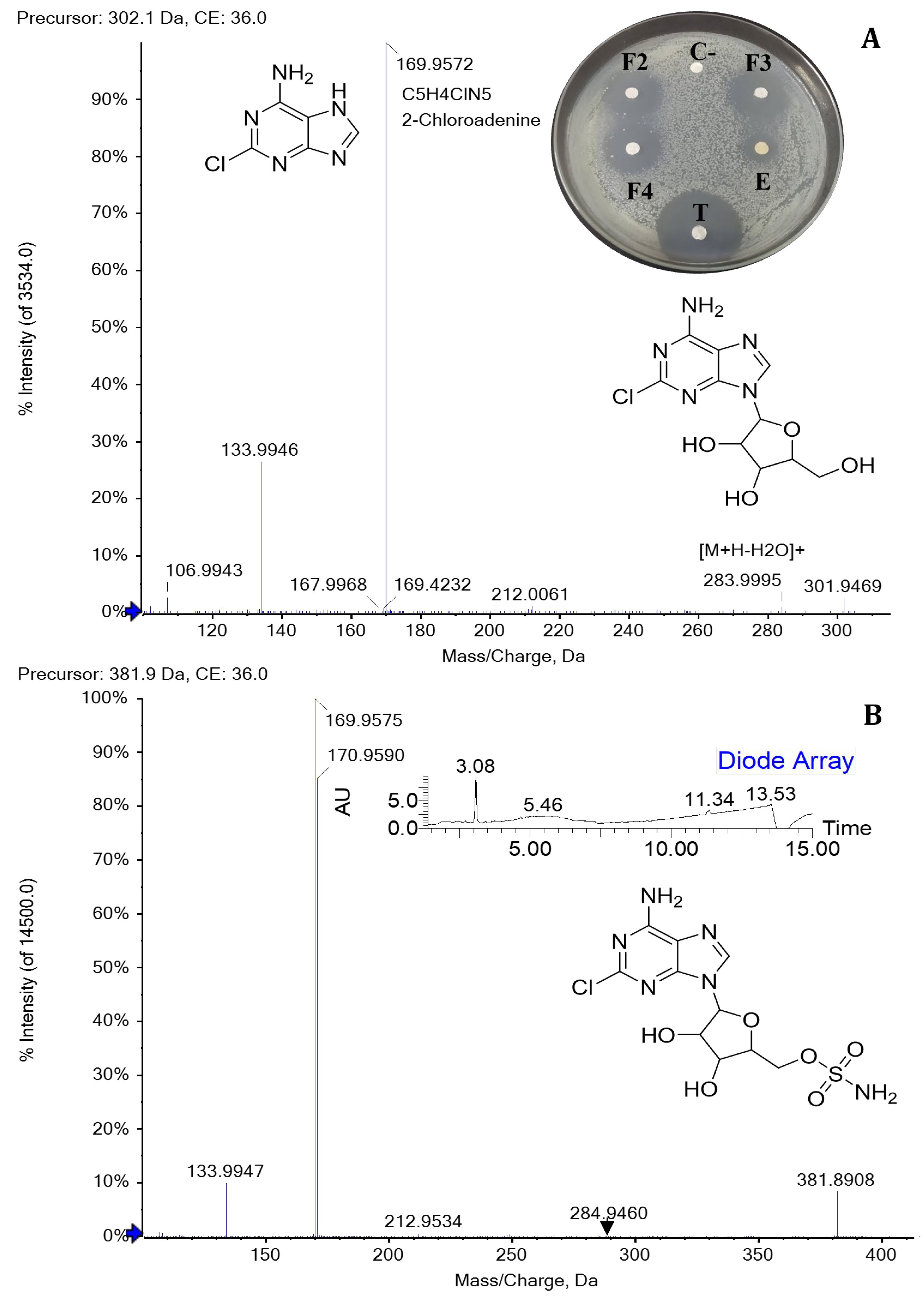 Molecules 31 00021 g003 Molecules 31 00021 g003