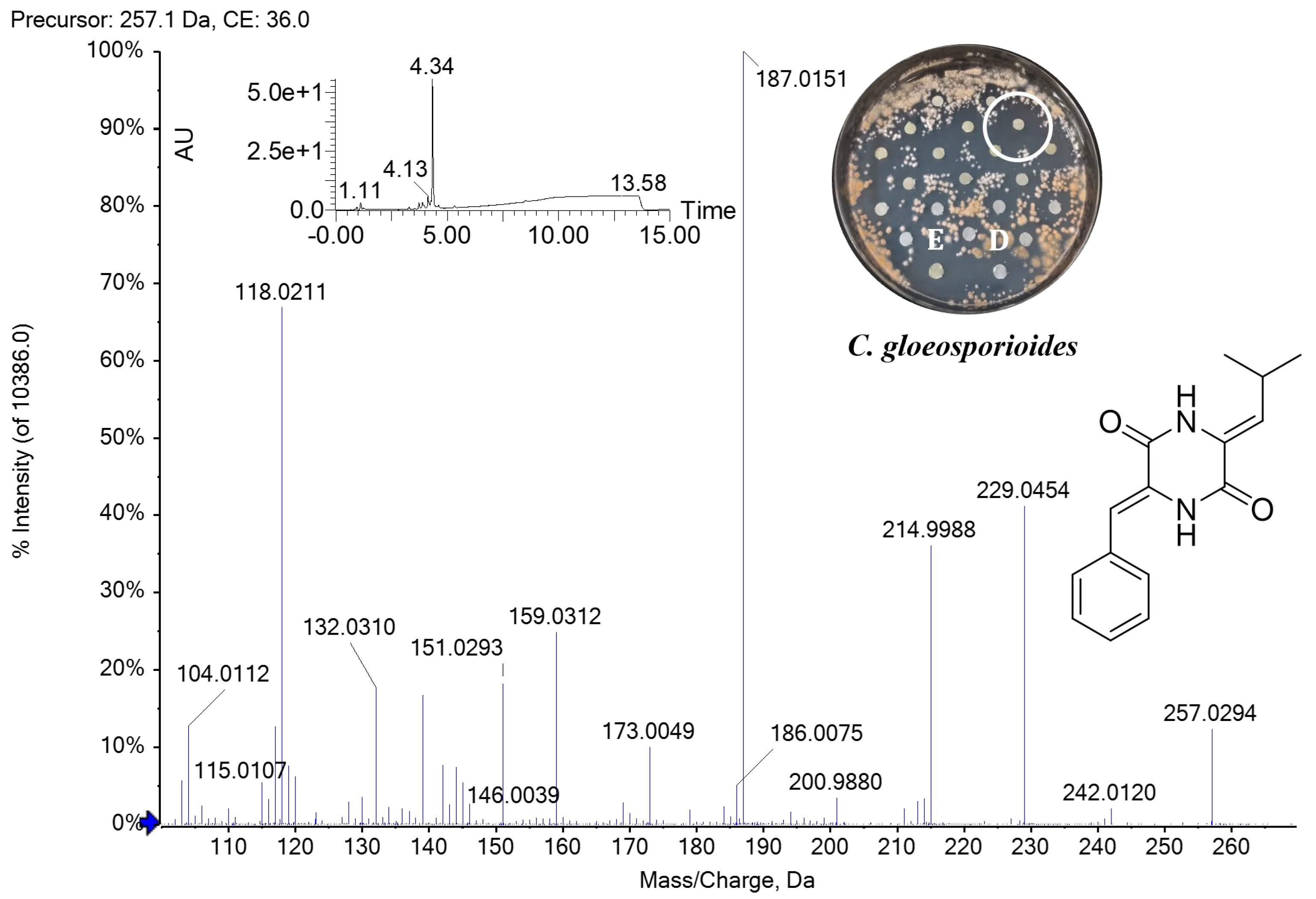 Molecules 31 00021 g005 Molecules 31 00021 g005