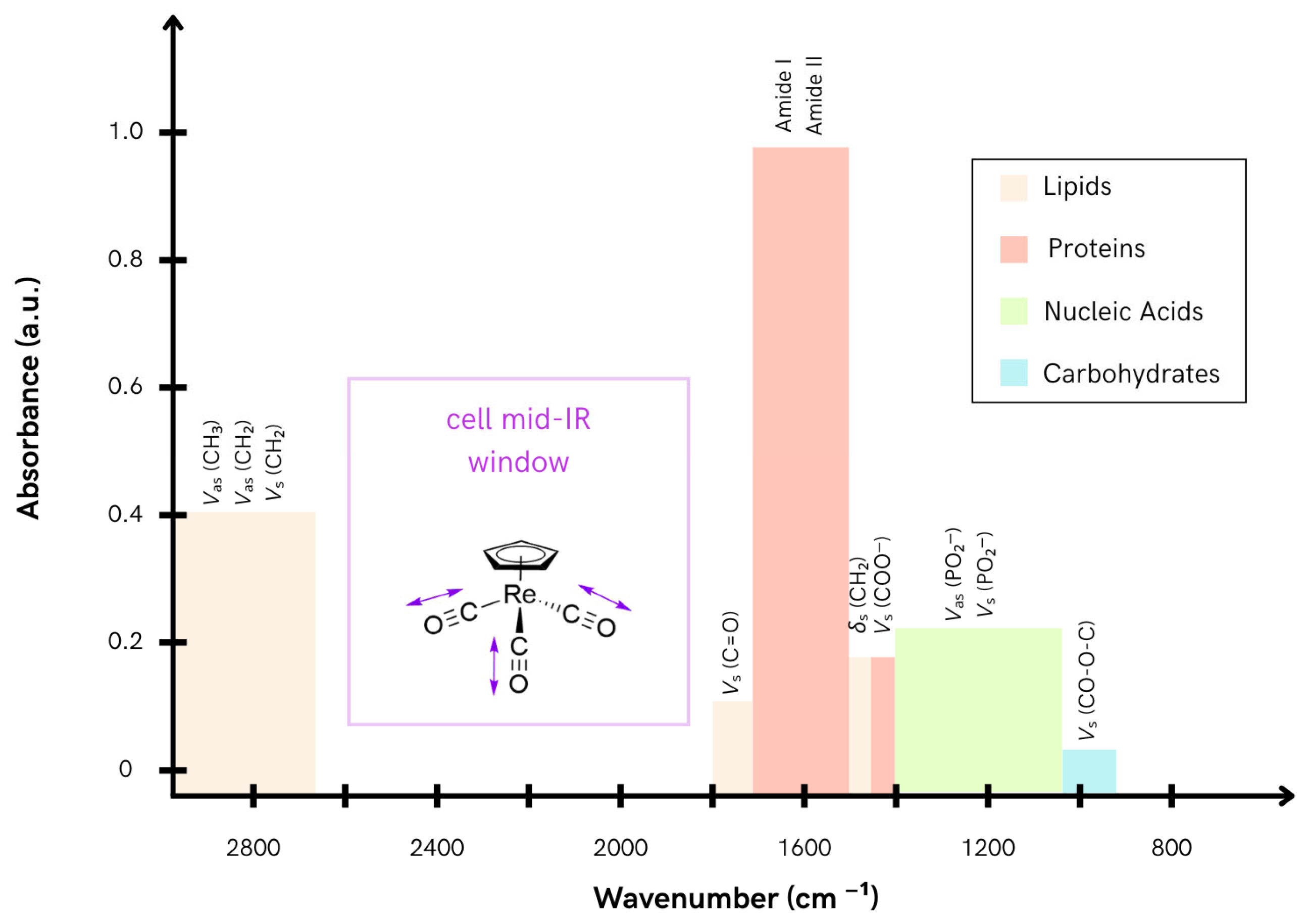 Molecules 31 00028 g001