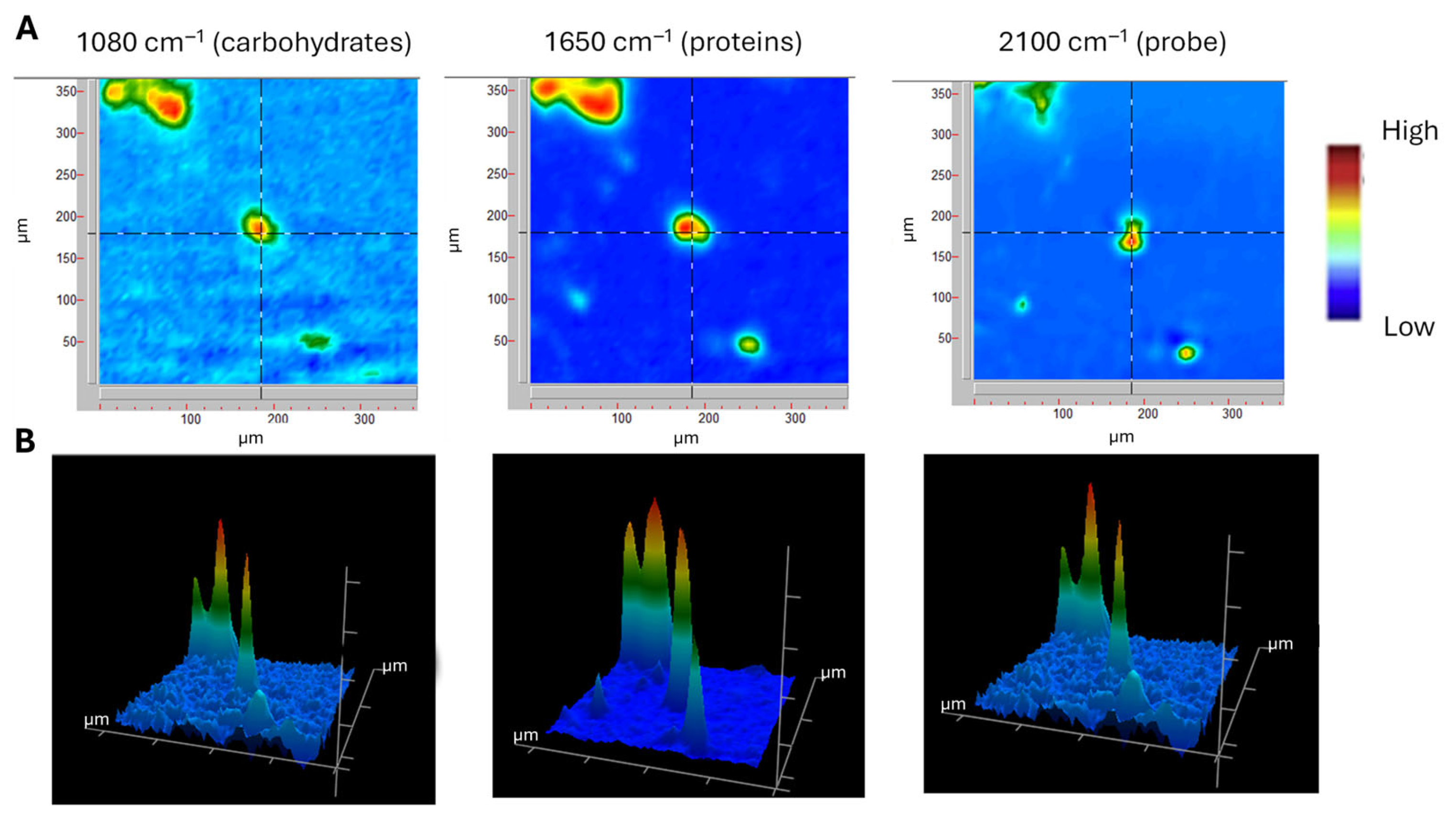 Molecules 31 00028 g004