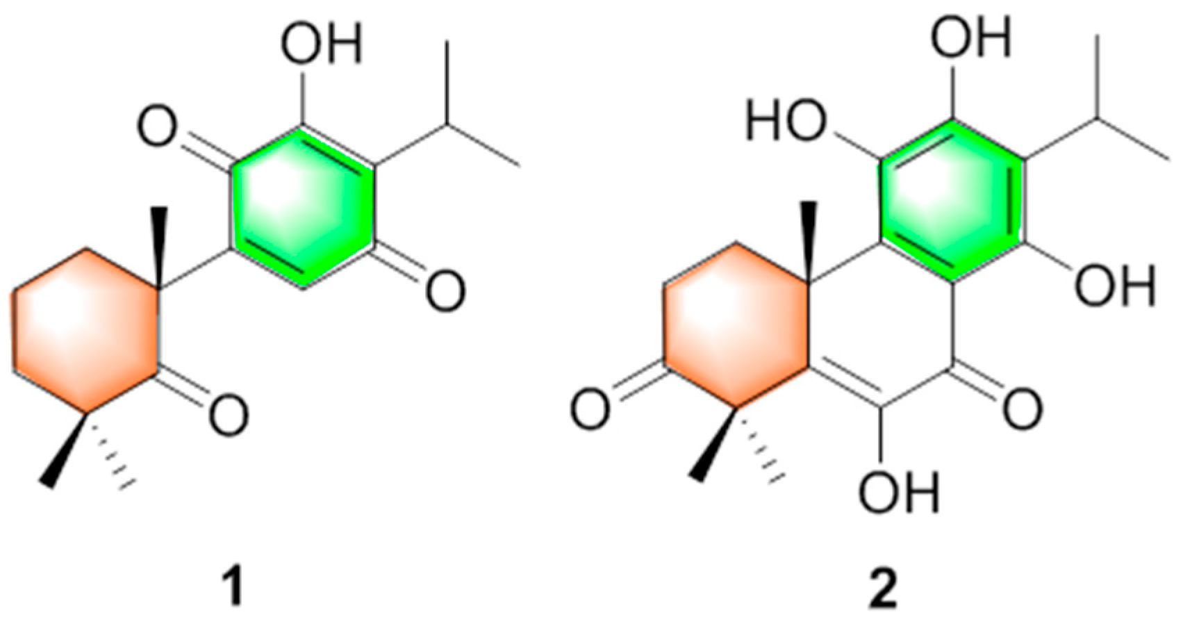 Molecules 31 00030 g001