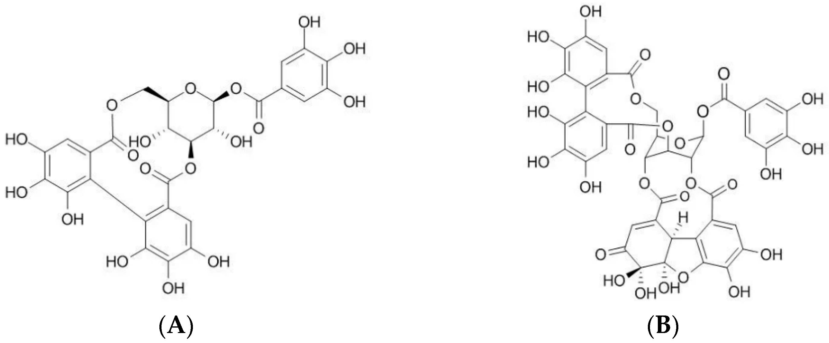 Molecules 31 00031 g001 Molecules 31 00031 g001