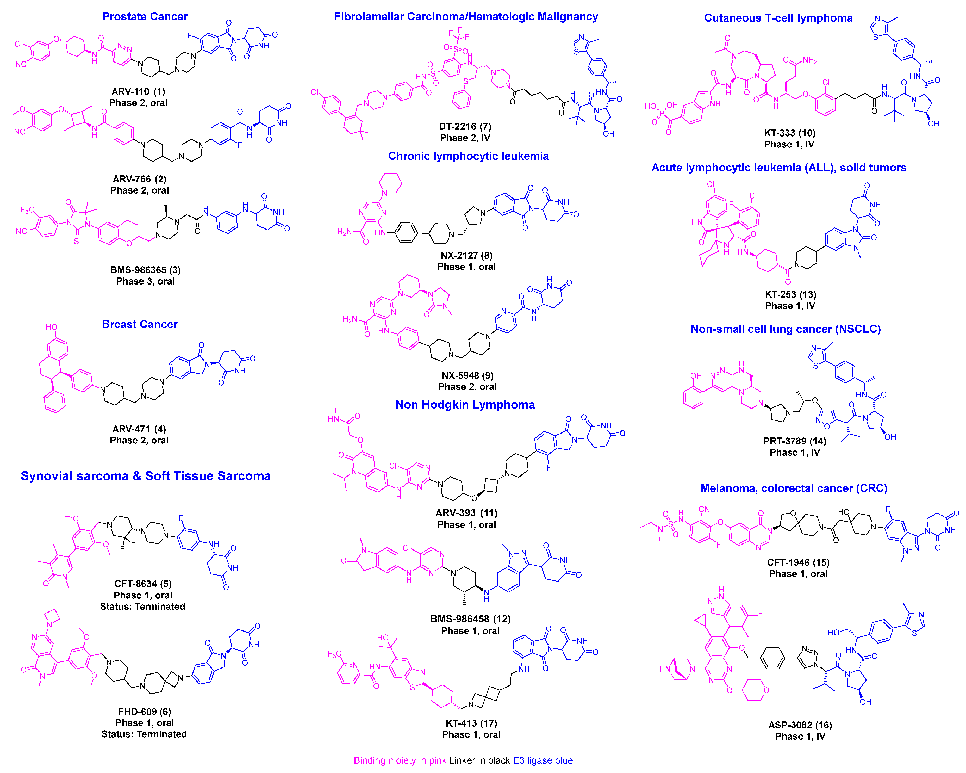 Molecules 31 00033 g001