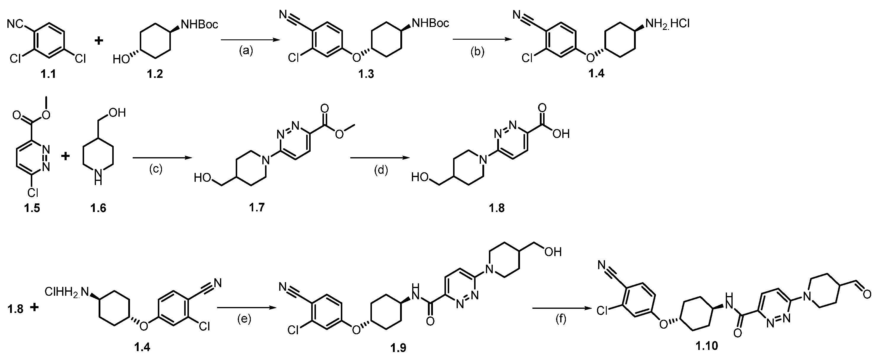 Molecules 31 00033 sch001