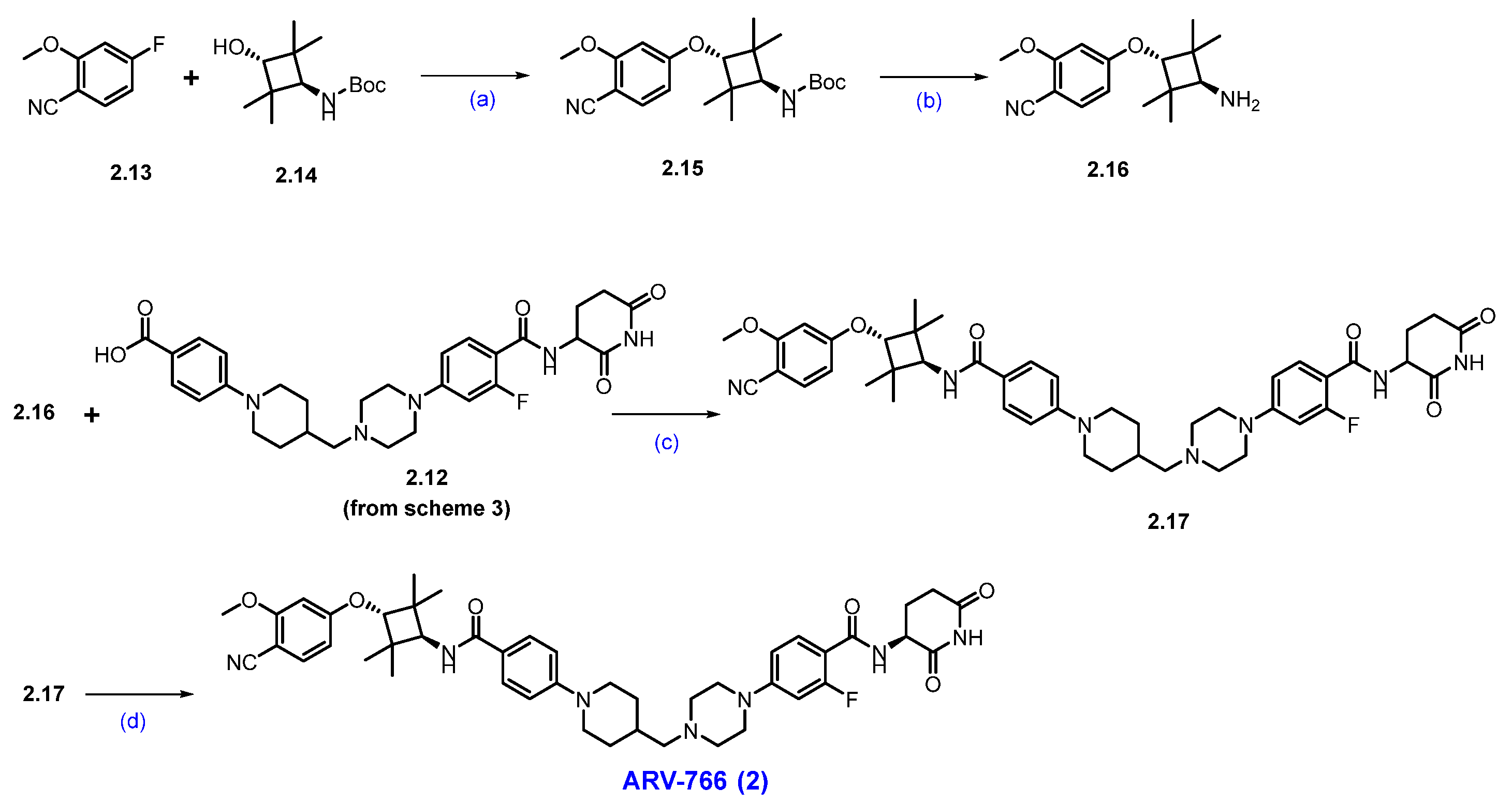 Molecules 31 00033 sch004