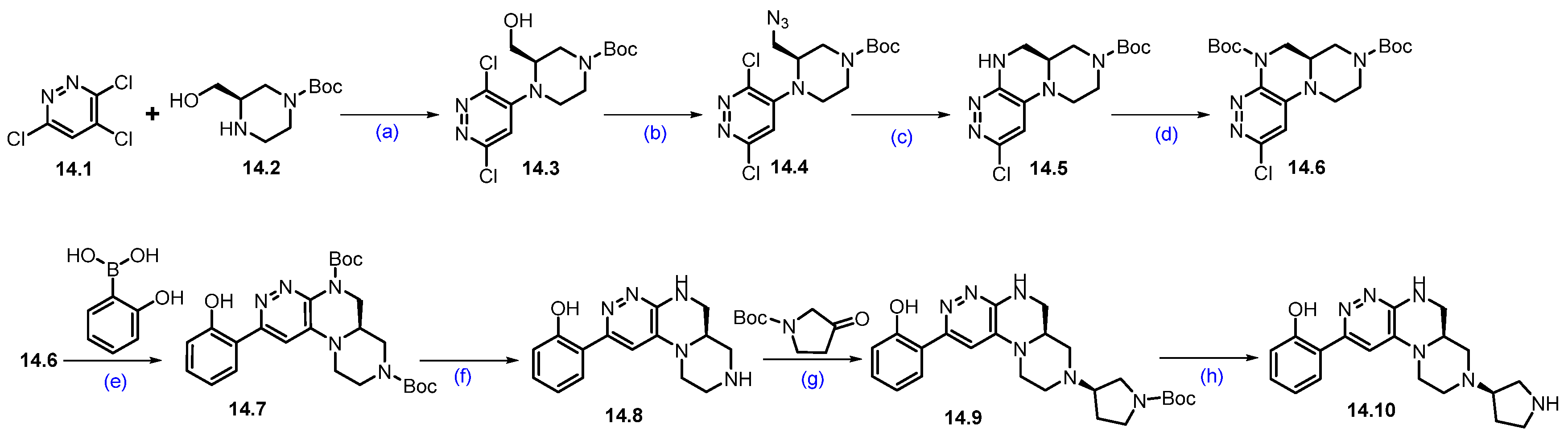 Molecules 31 00033 sch025