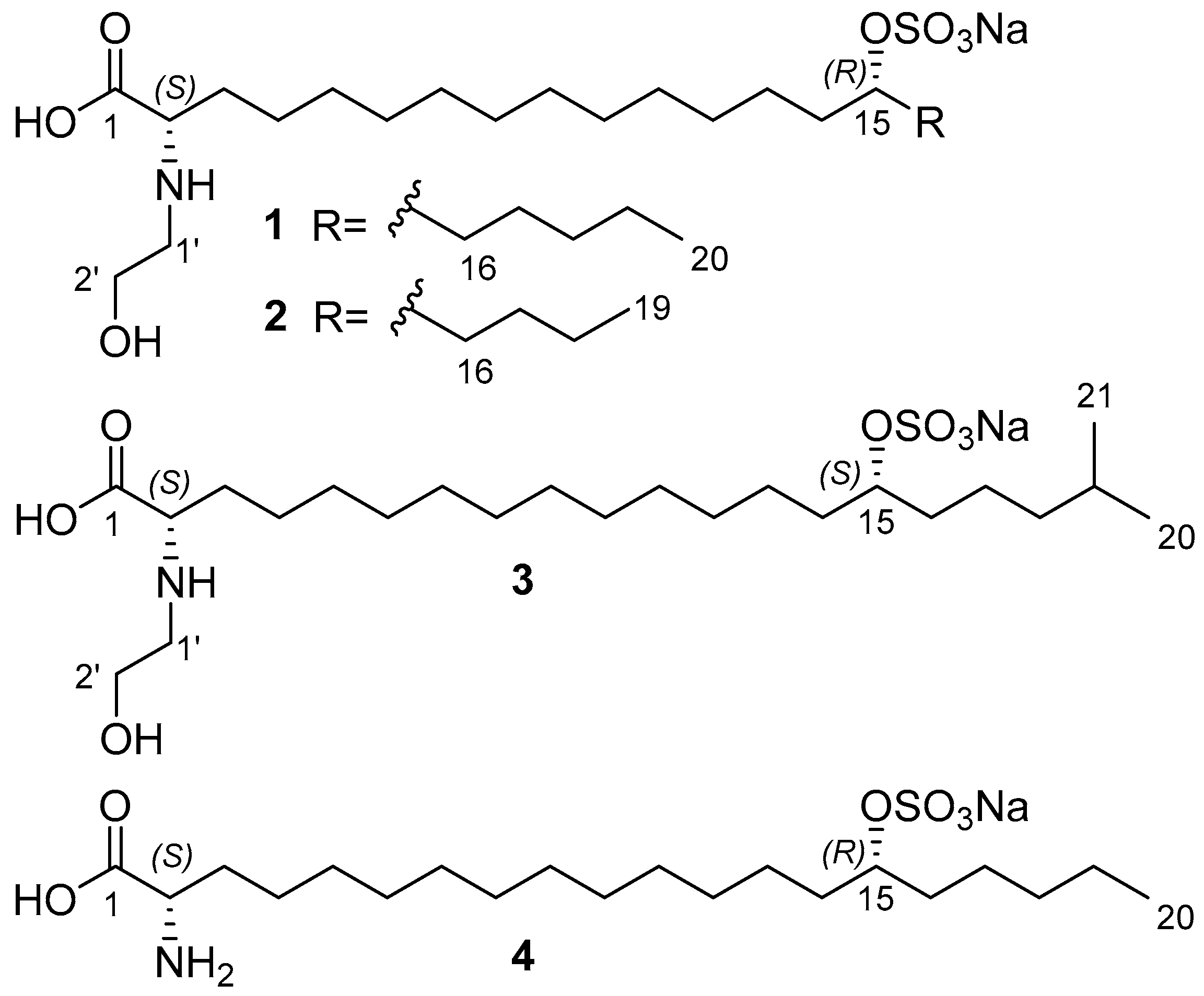 Molecules 31 00036 g001 Molecules 31 00036 g001
