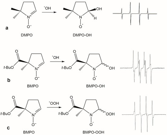 Molecules 31 00041 g004