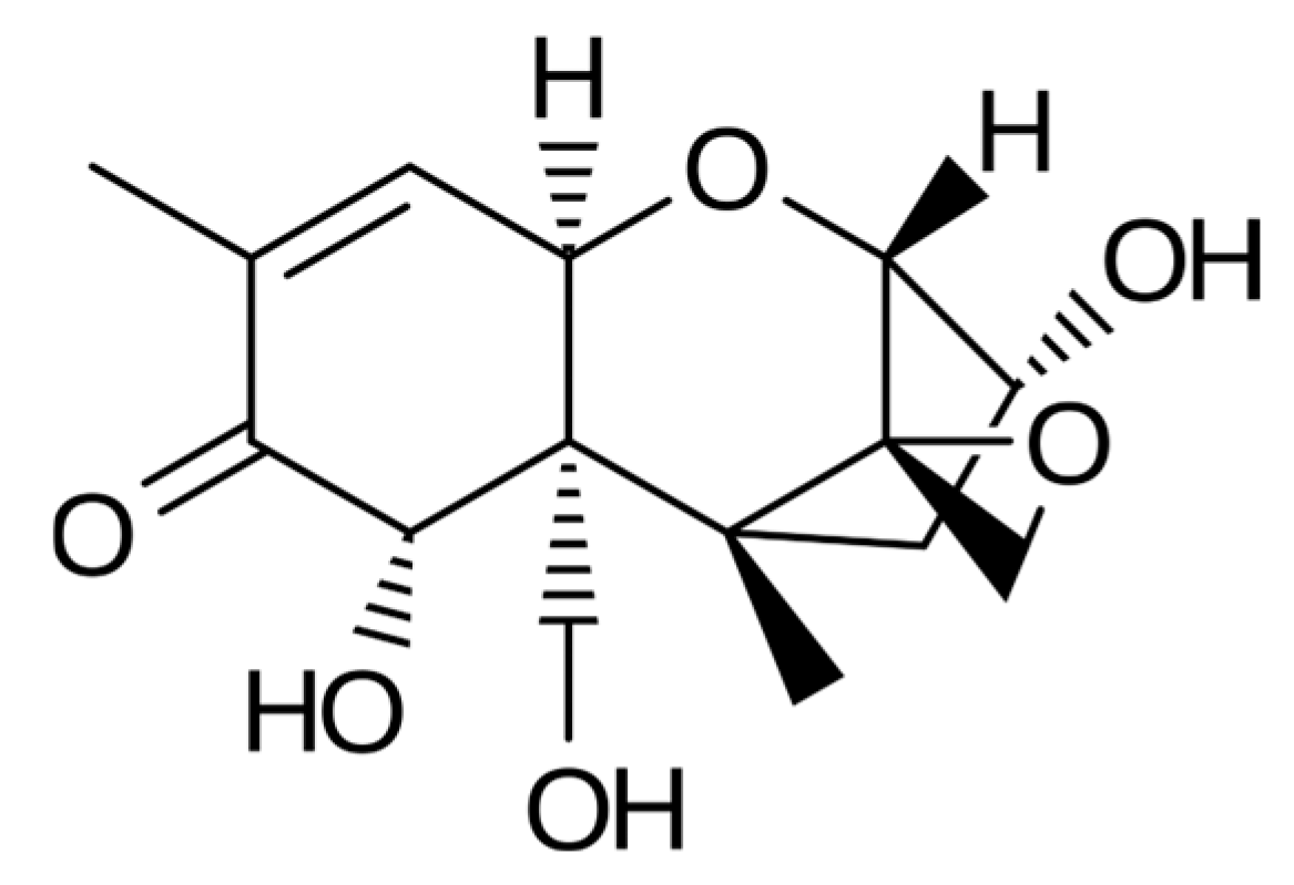 Molecules 31 00043 g004