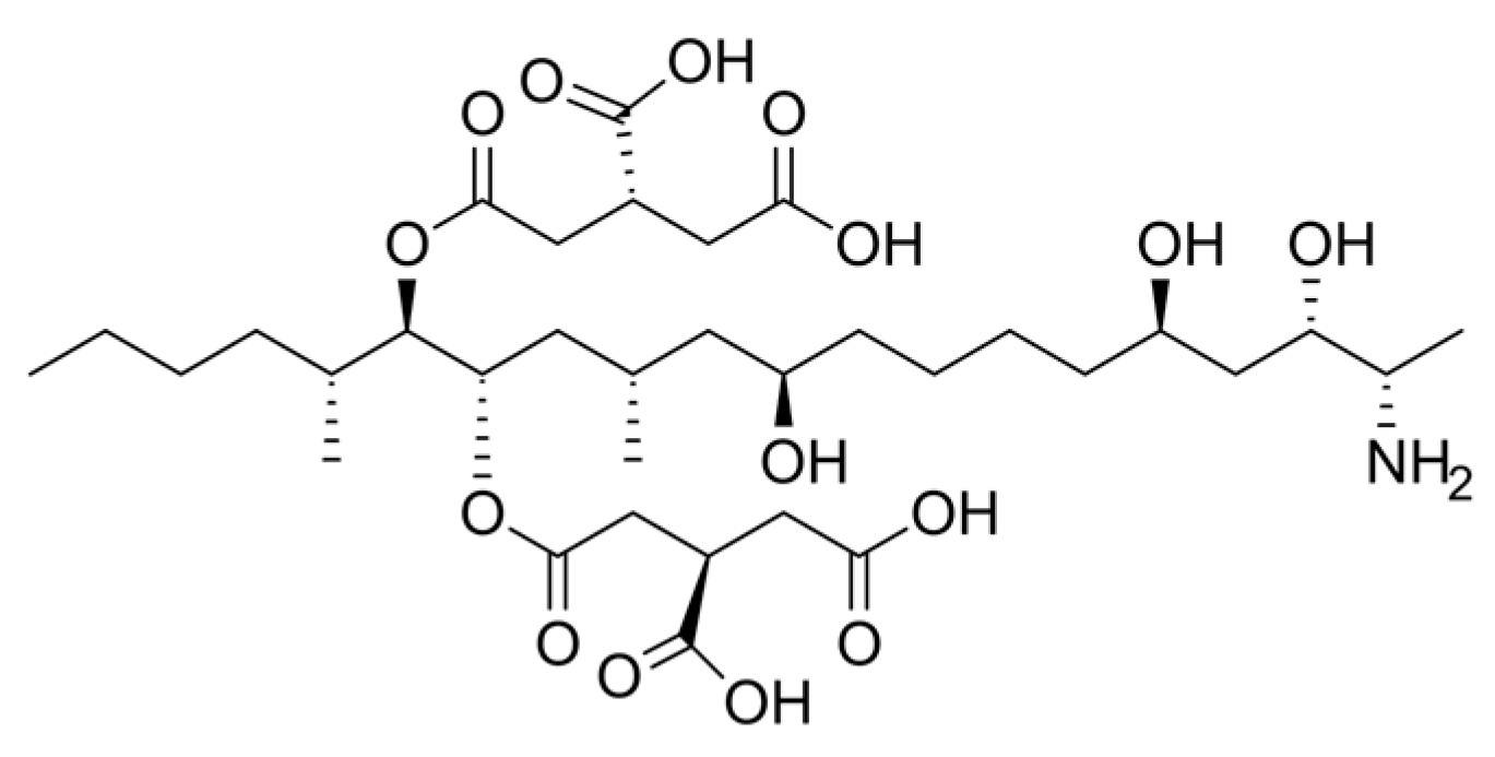 Molecules 31 00043 g007