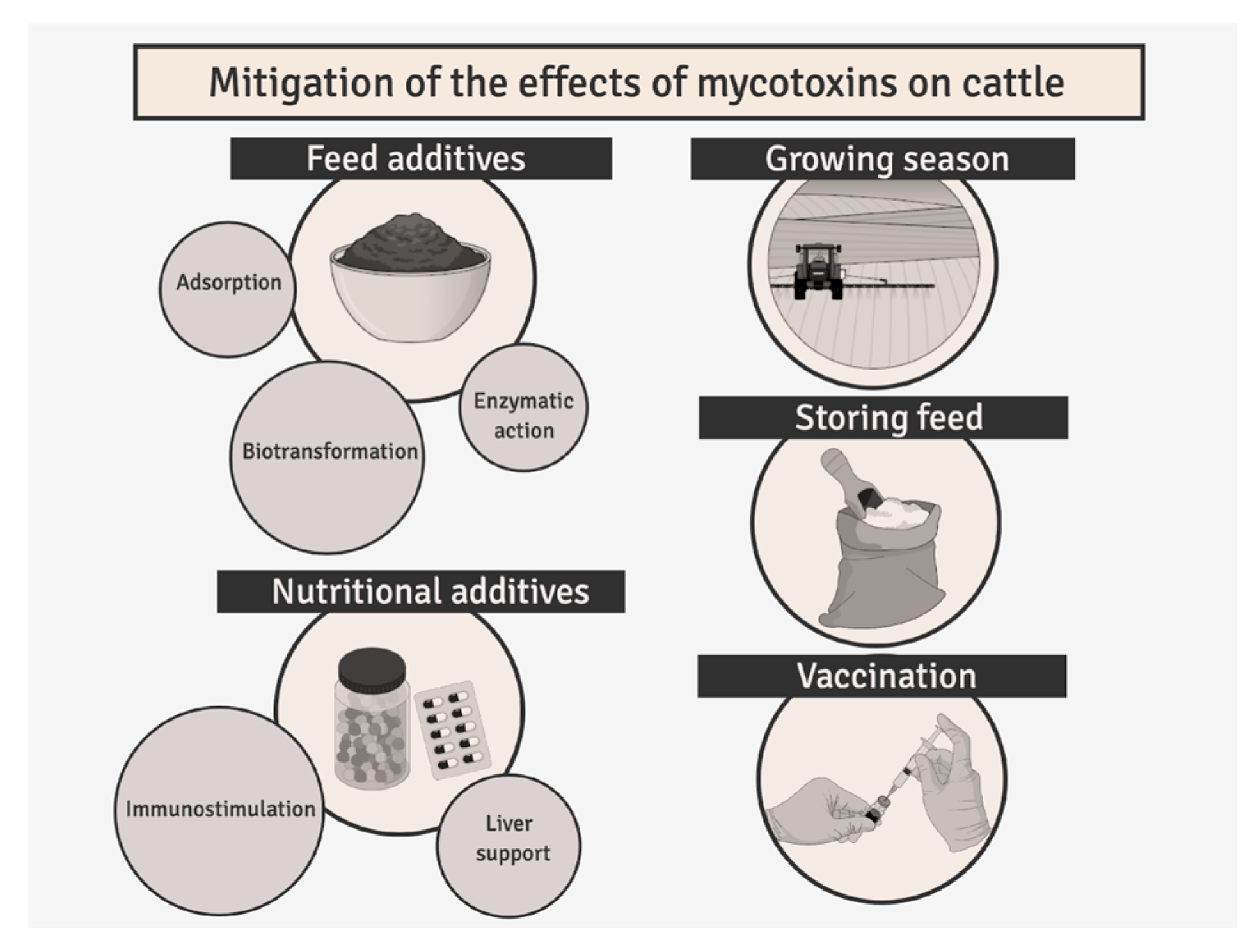 Molecules 31 00043 g008