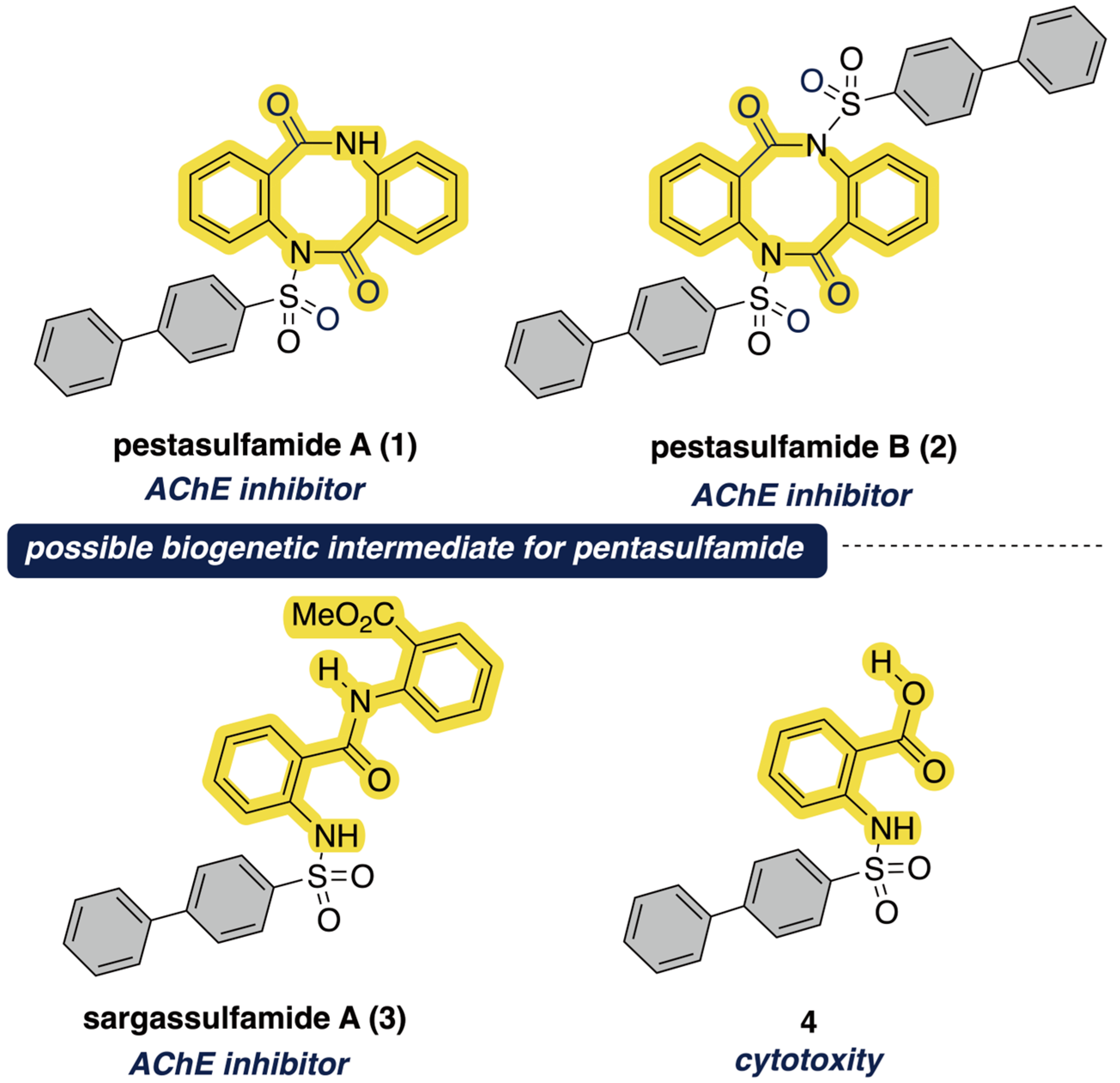 Molecules 31 00047 g001