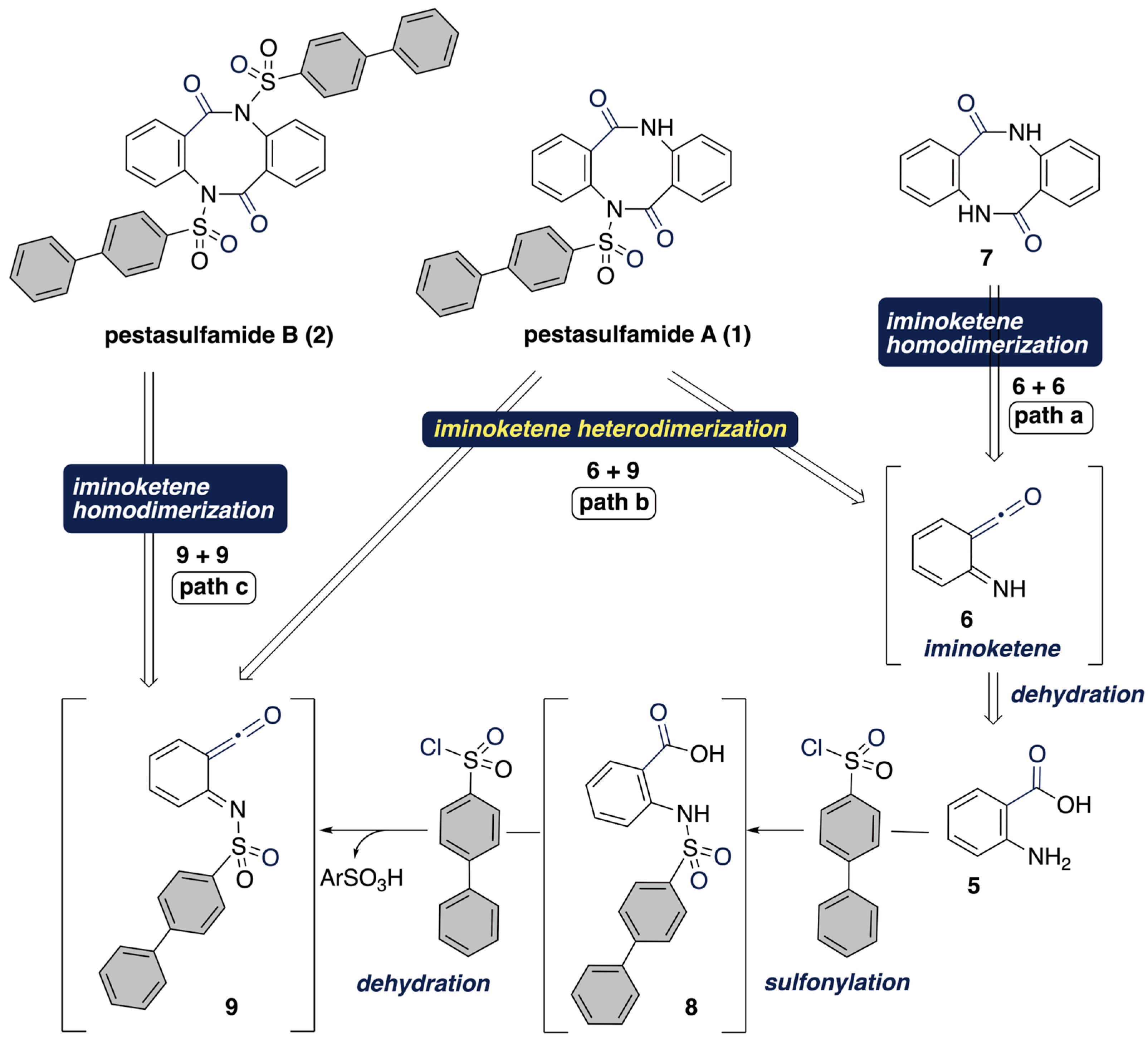 Molecules 31 00047 sch003