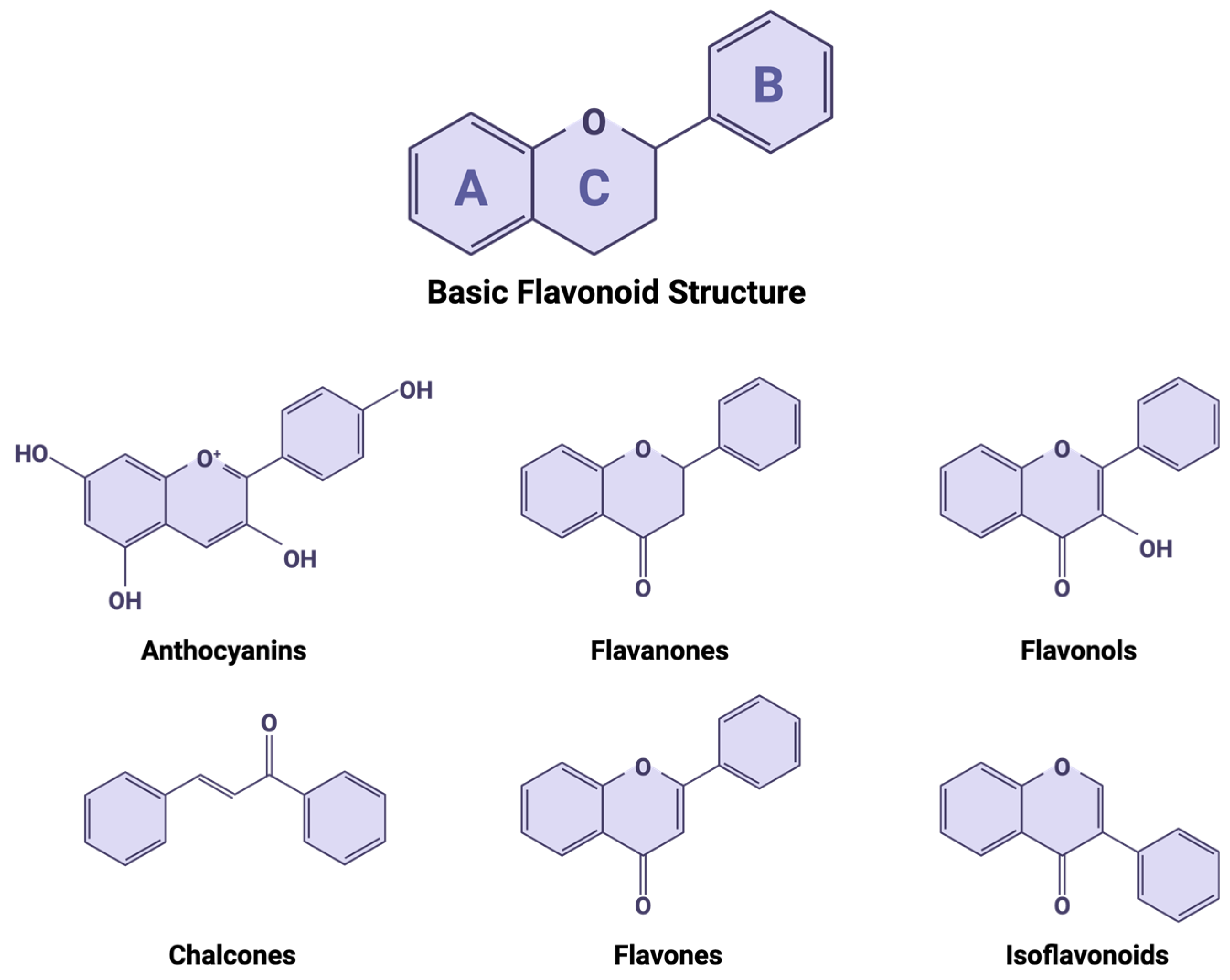 Molecules 31 00048 g002 Molecules 31 00048 g002