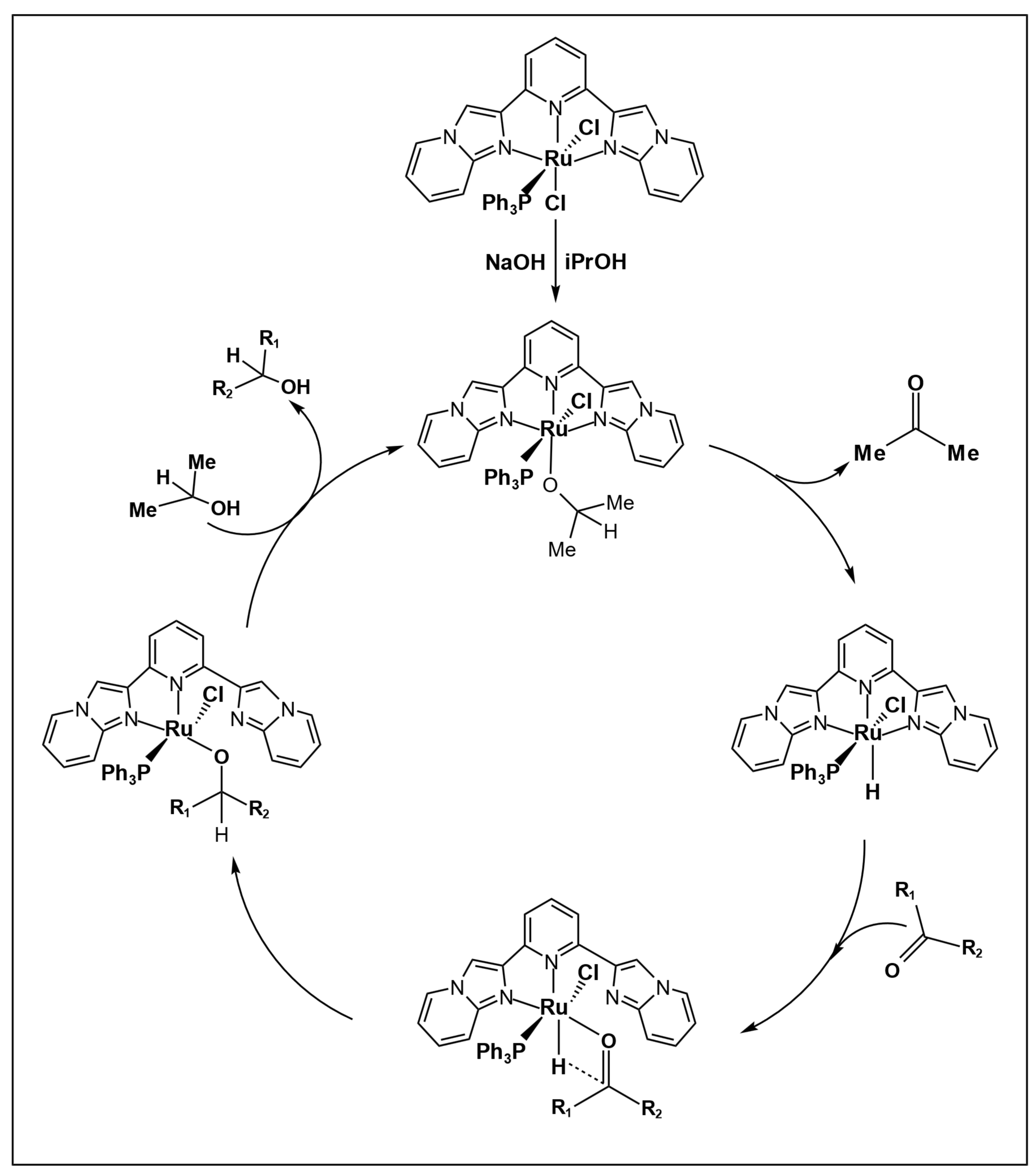 Molecules 31 00064 sch004