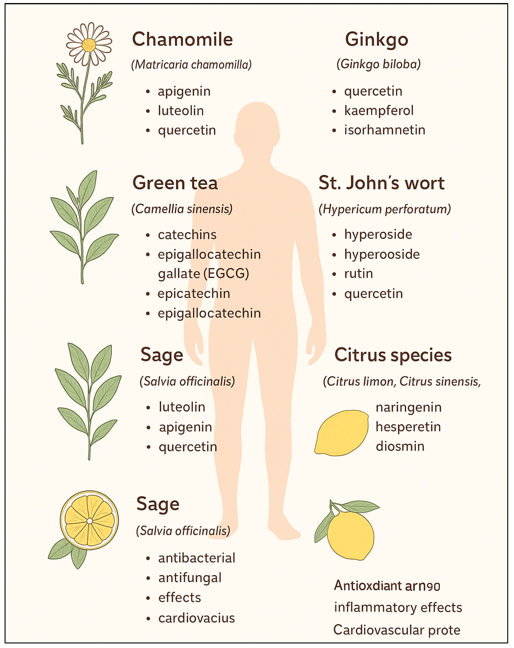 Molecules 31 00066 g001