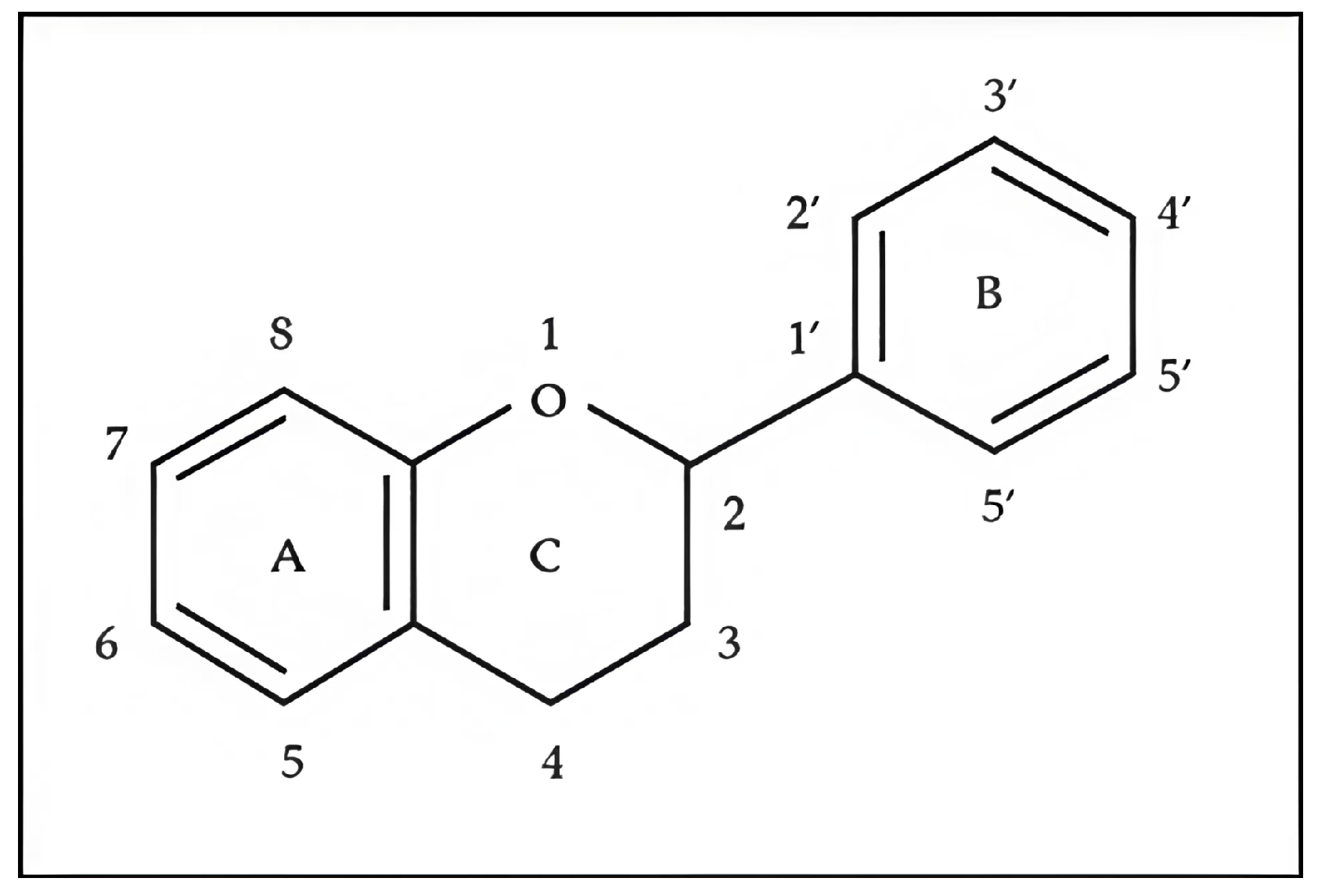 Molecules 31 00066 g003