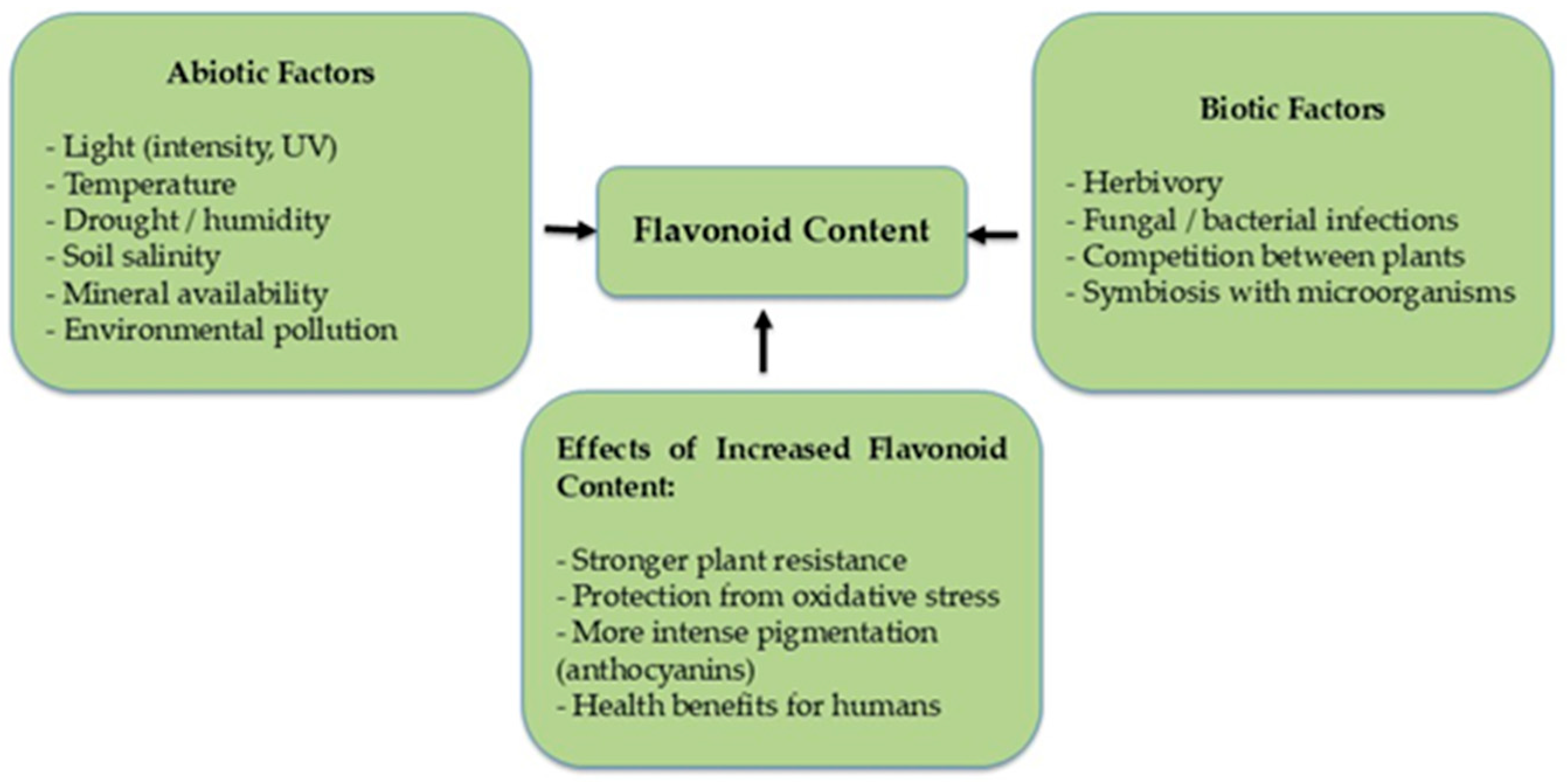 Molecules 31 00066 g004