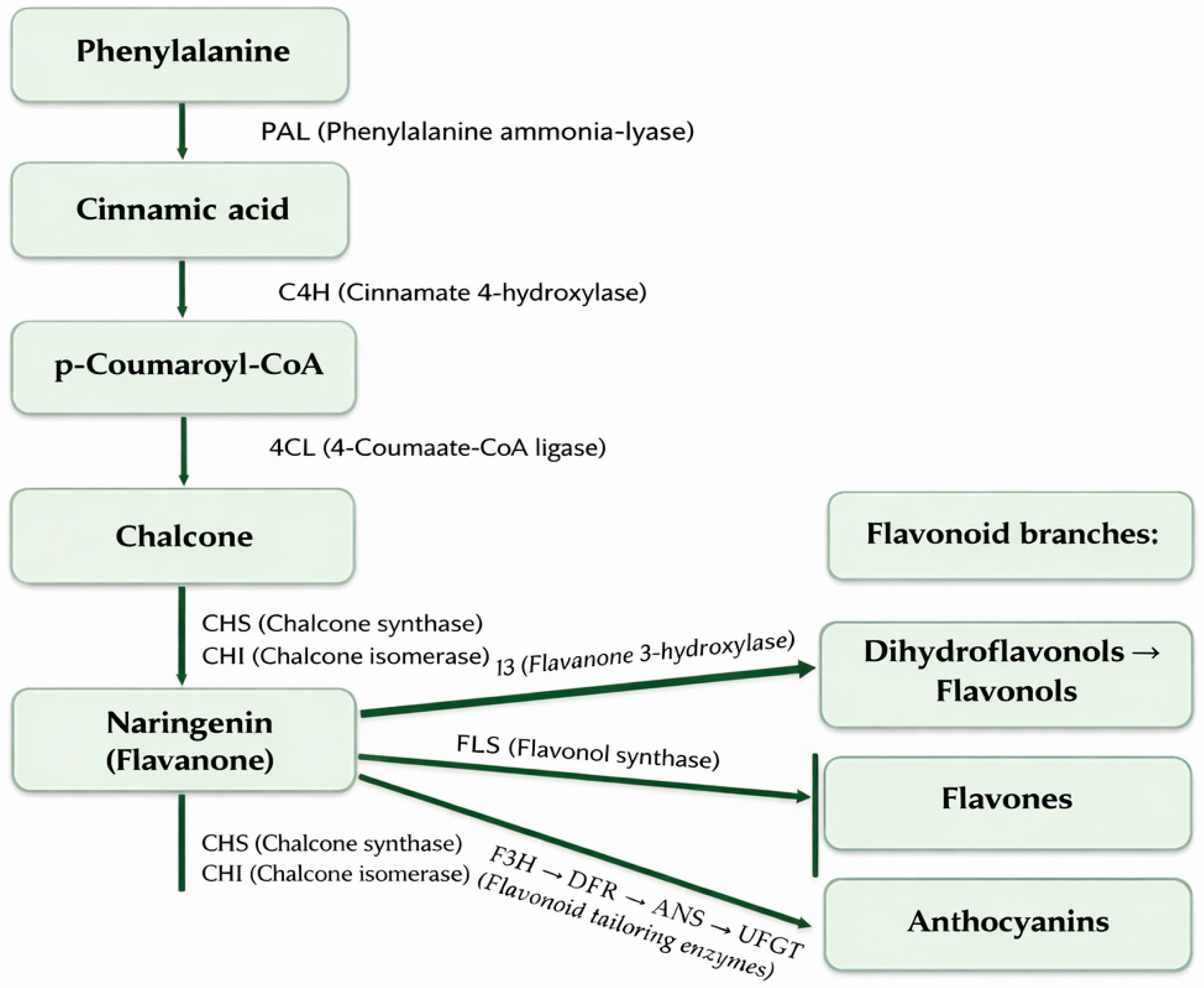 Molecules 31 00066 g005