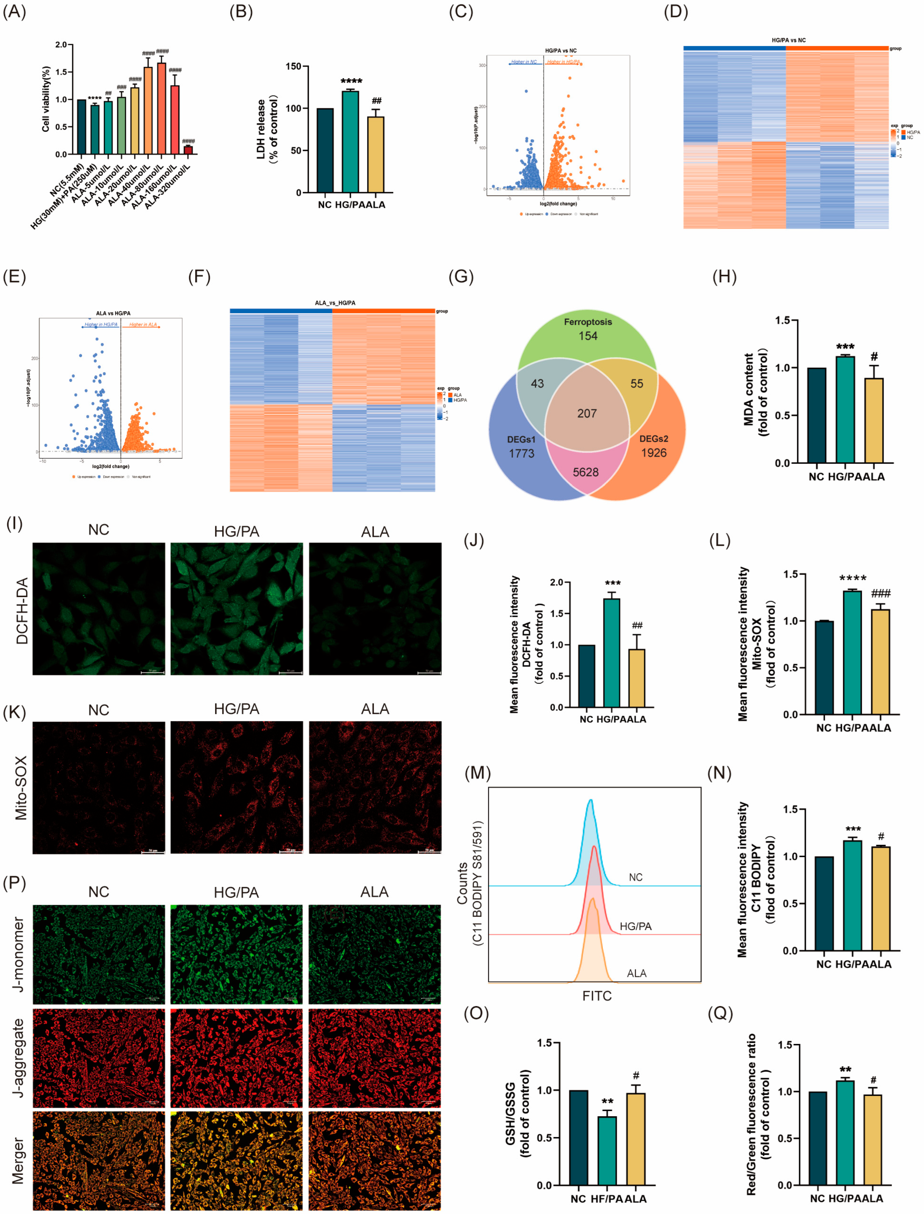 Molecules 31 00079 g001