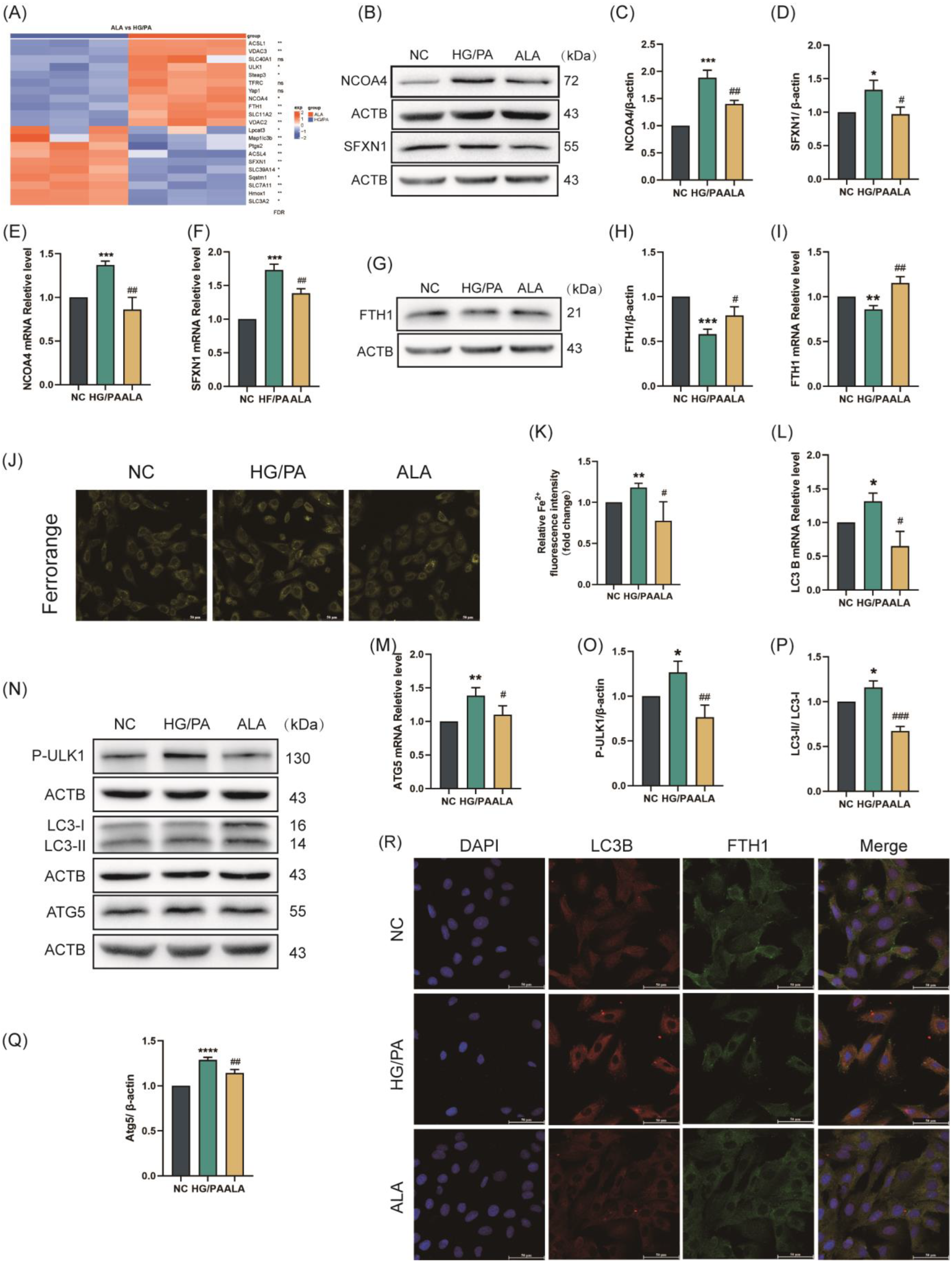 Molecules 31 00079 g002