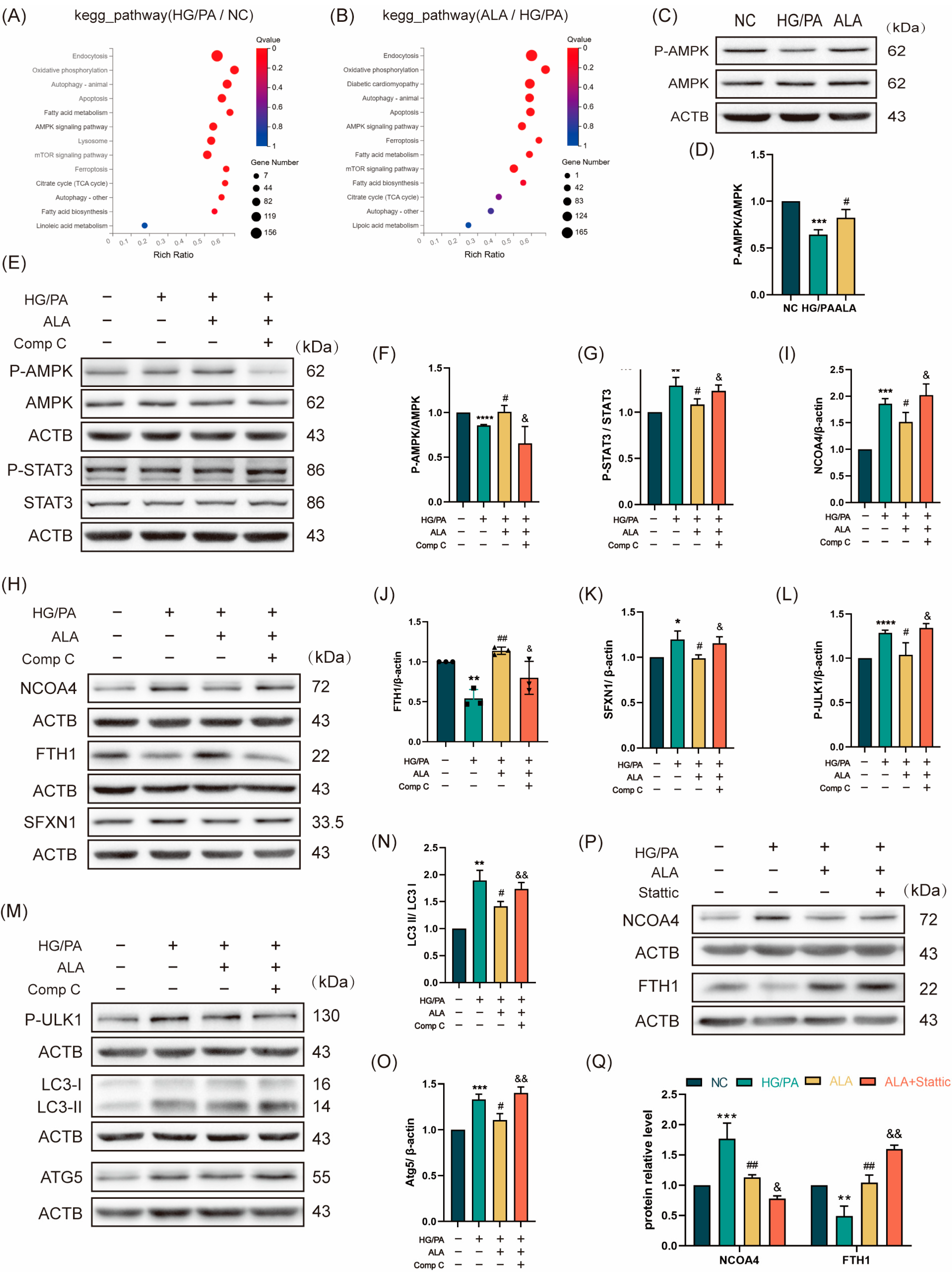 Molecules 31 00079 g003