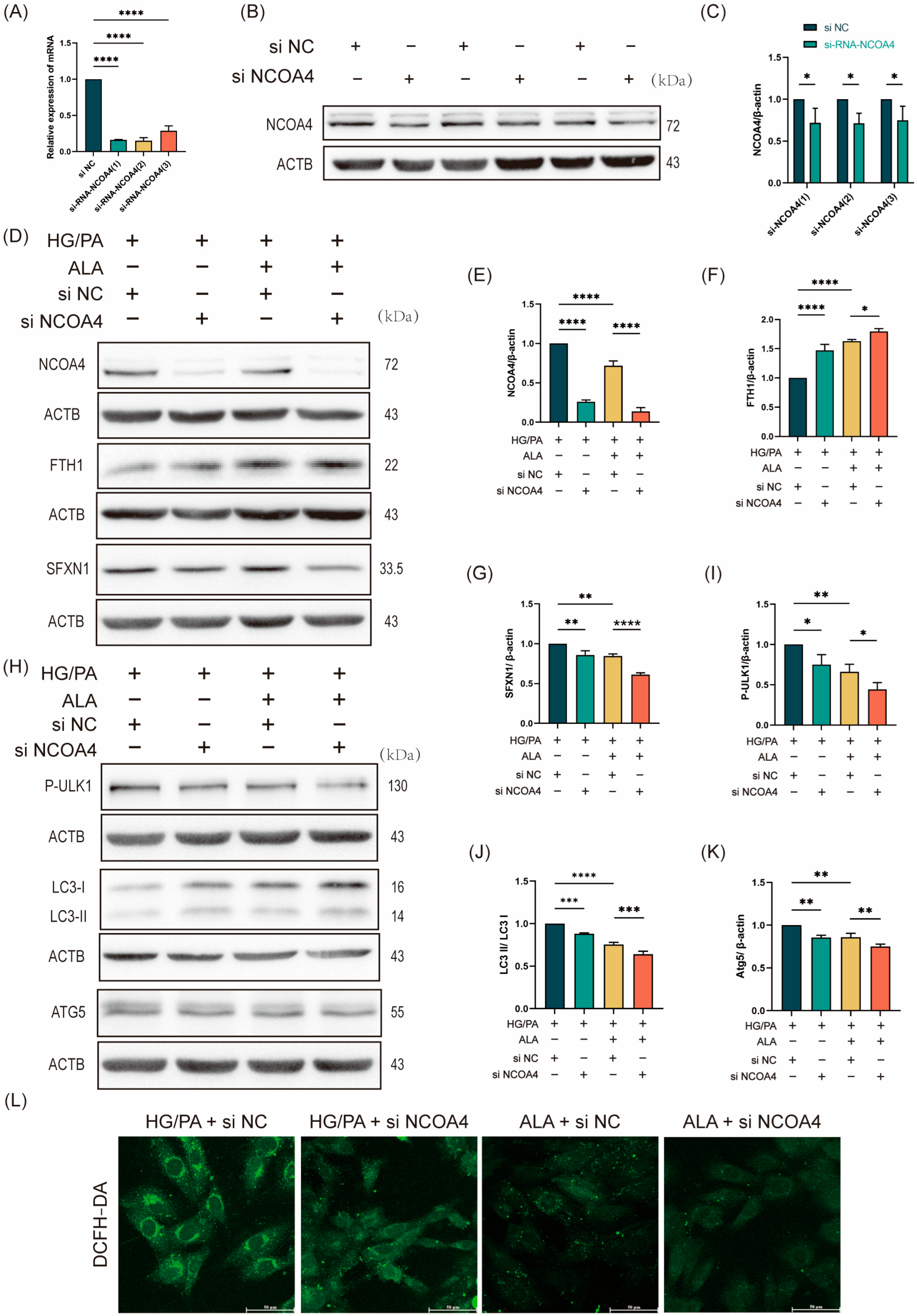 Molecules 31 00079 g004