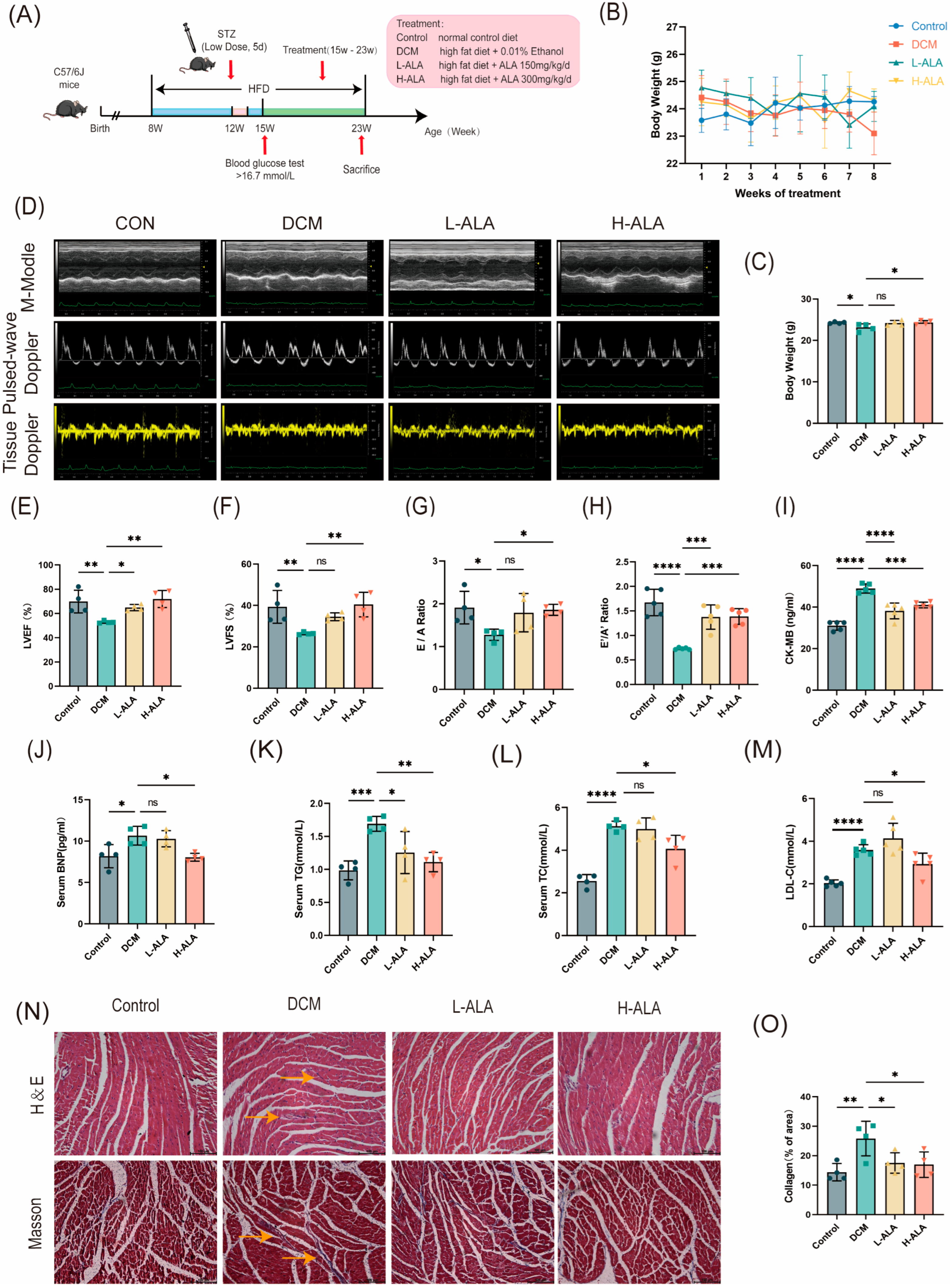 Molecules 31 00079 g006