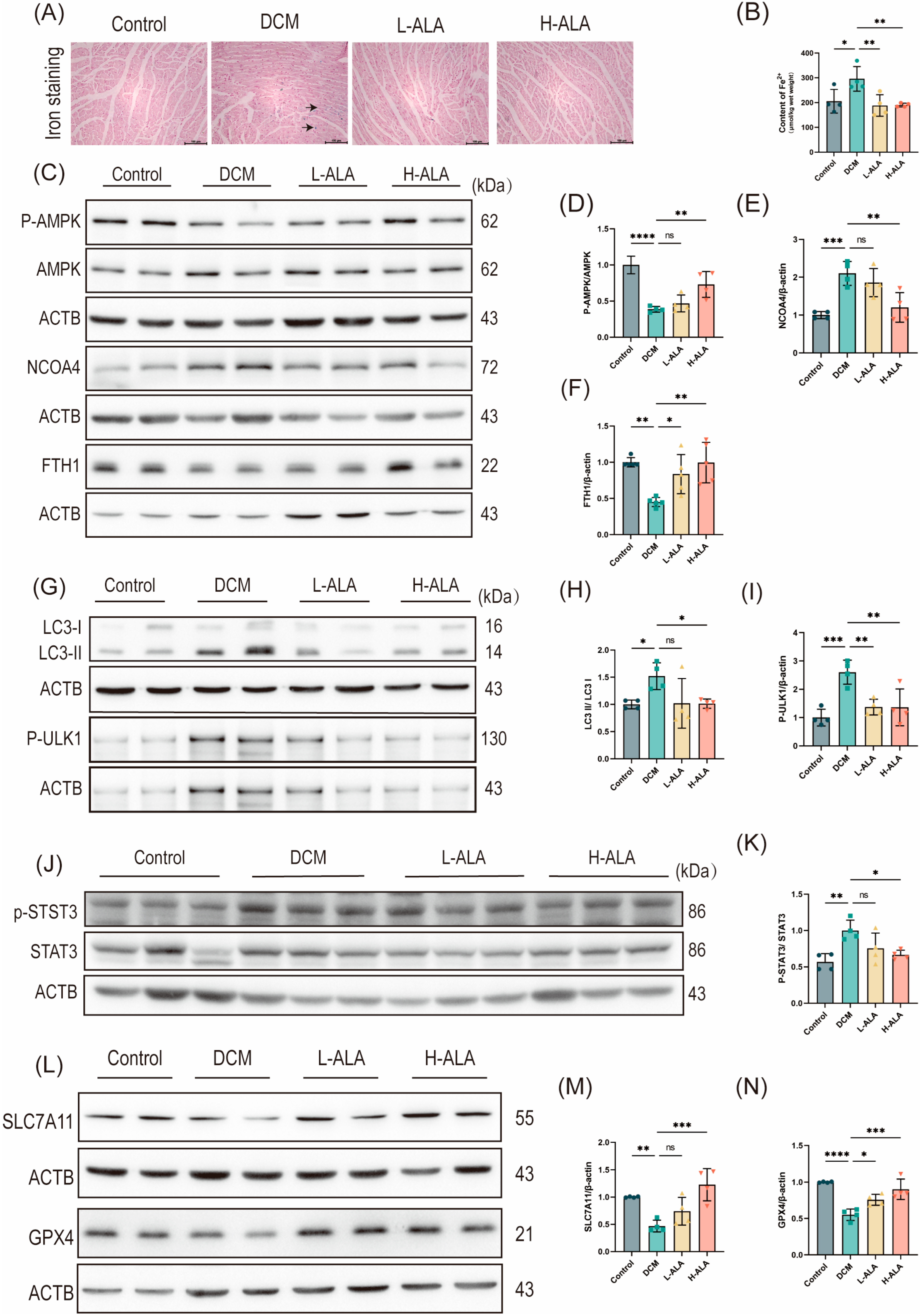 Molecules 31 00079 g007