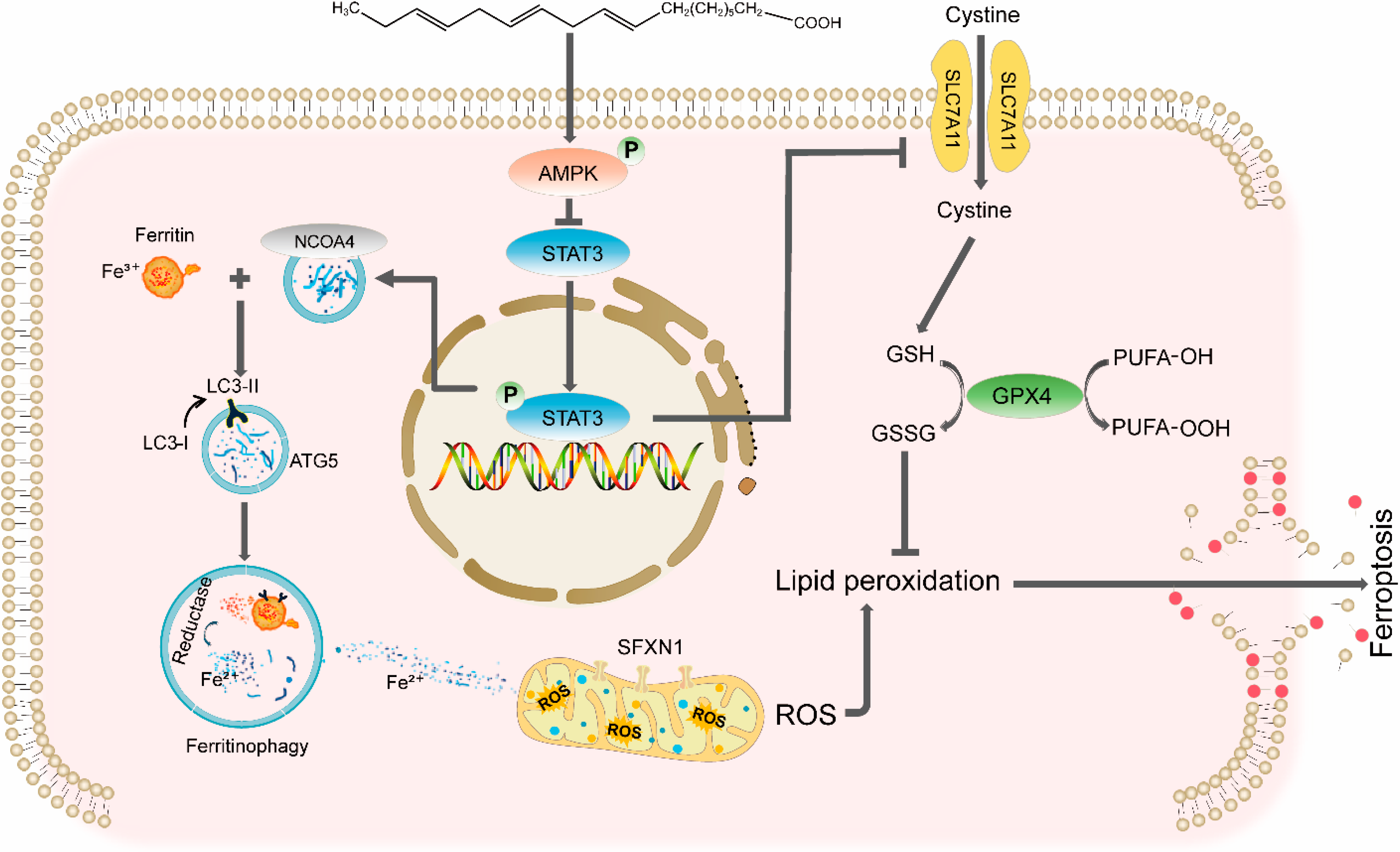 Molecules 31 00079 g008