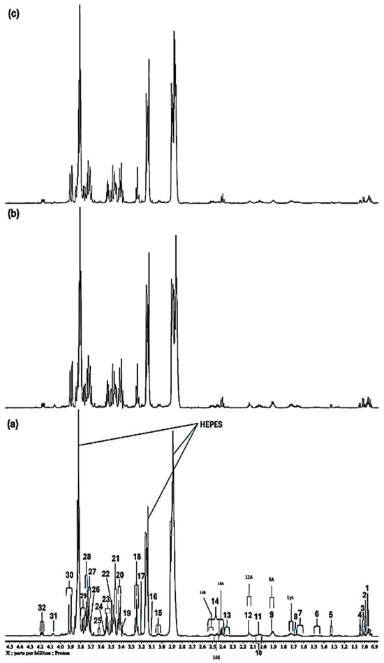 Molecules 31 00085 g001b