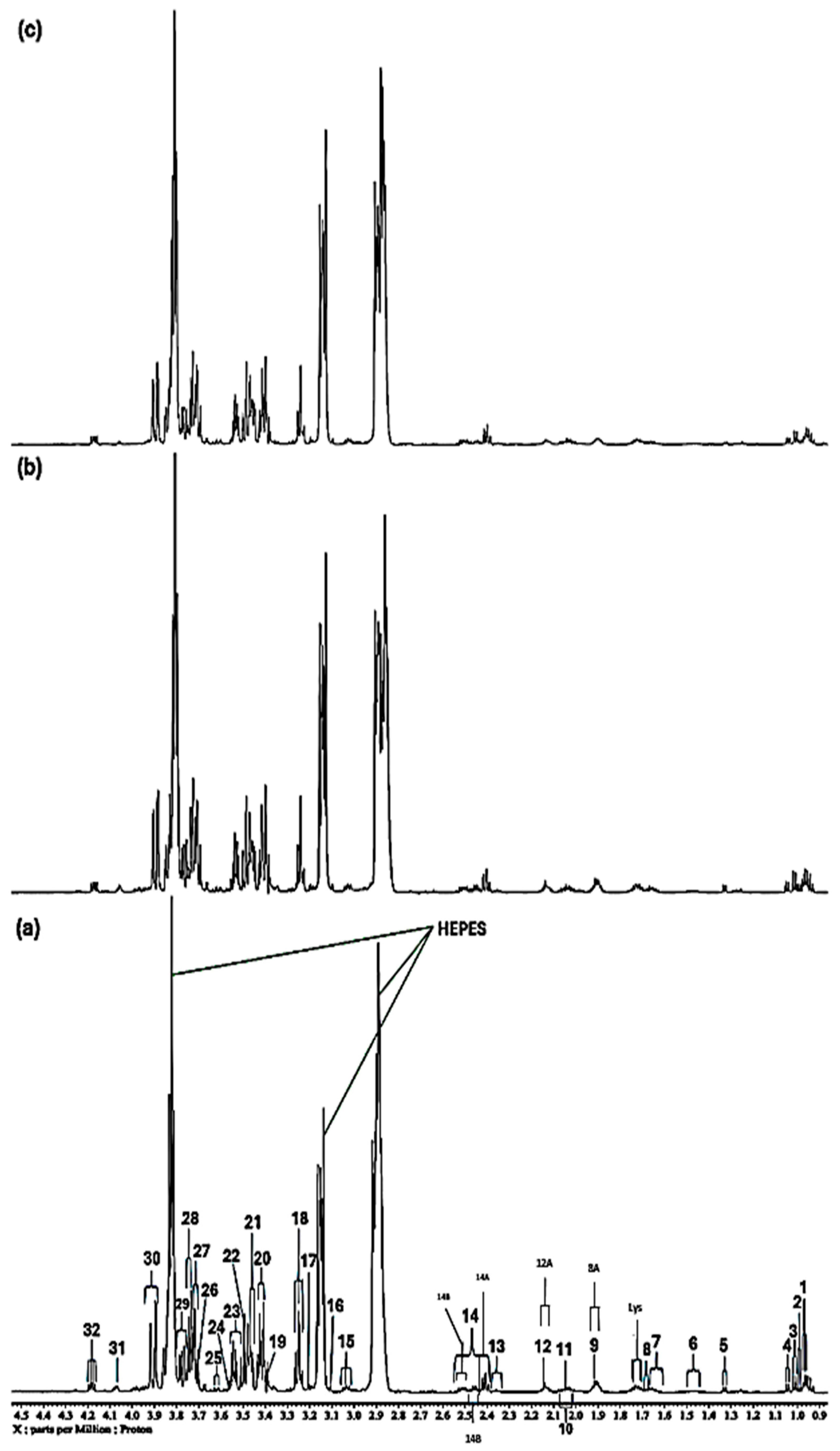 Molecules 31 00085 g001b